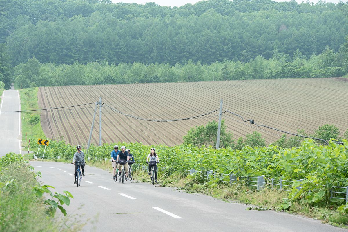 A group of cyclists climb a hill up a country road.