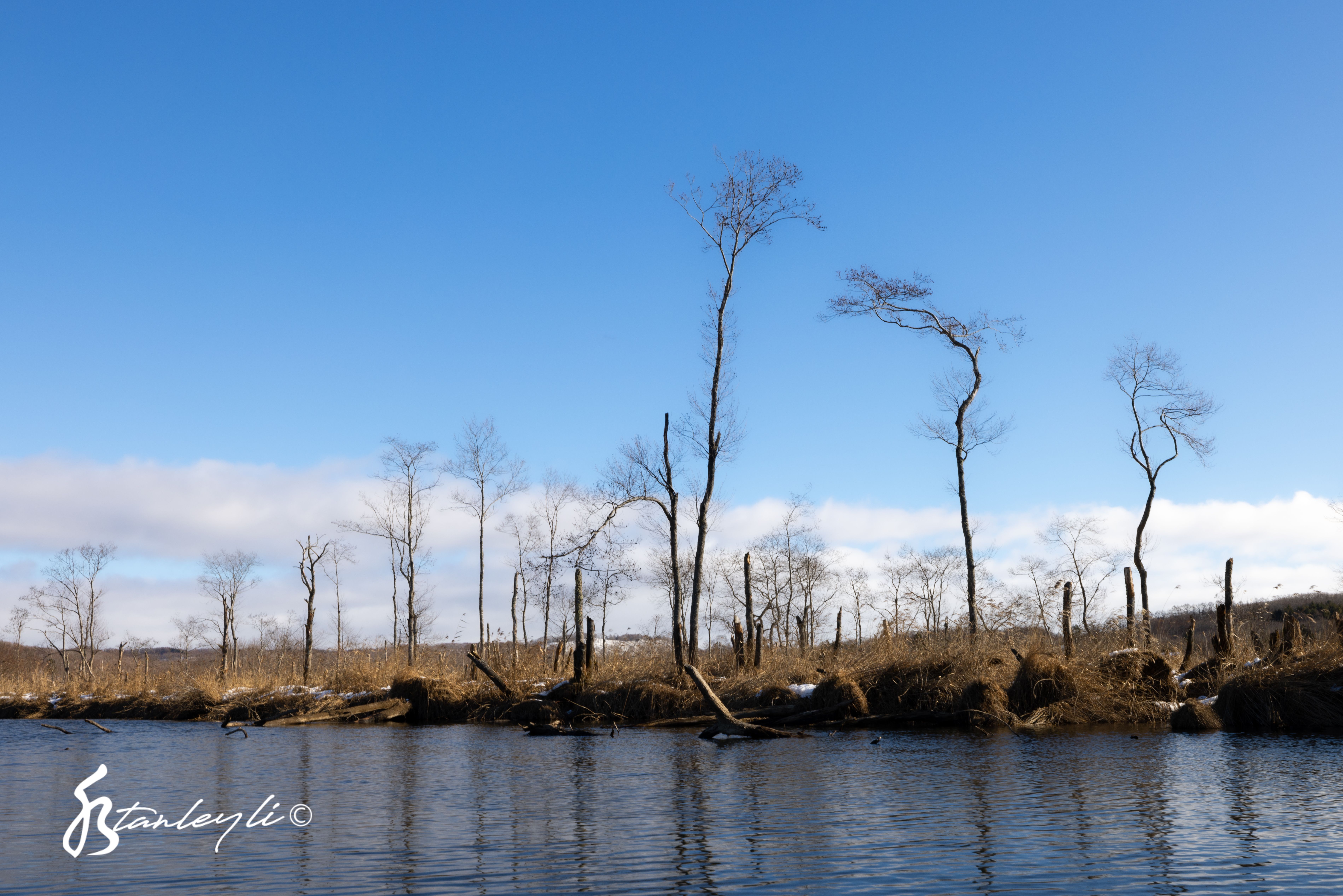 Trees line a river in the Kushiro Wetland.