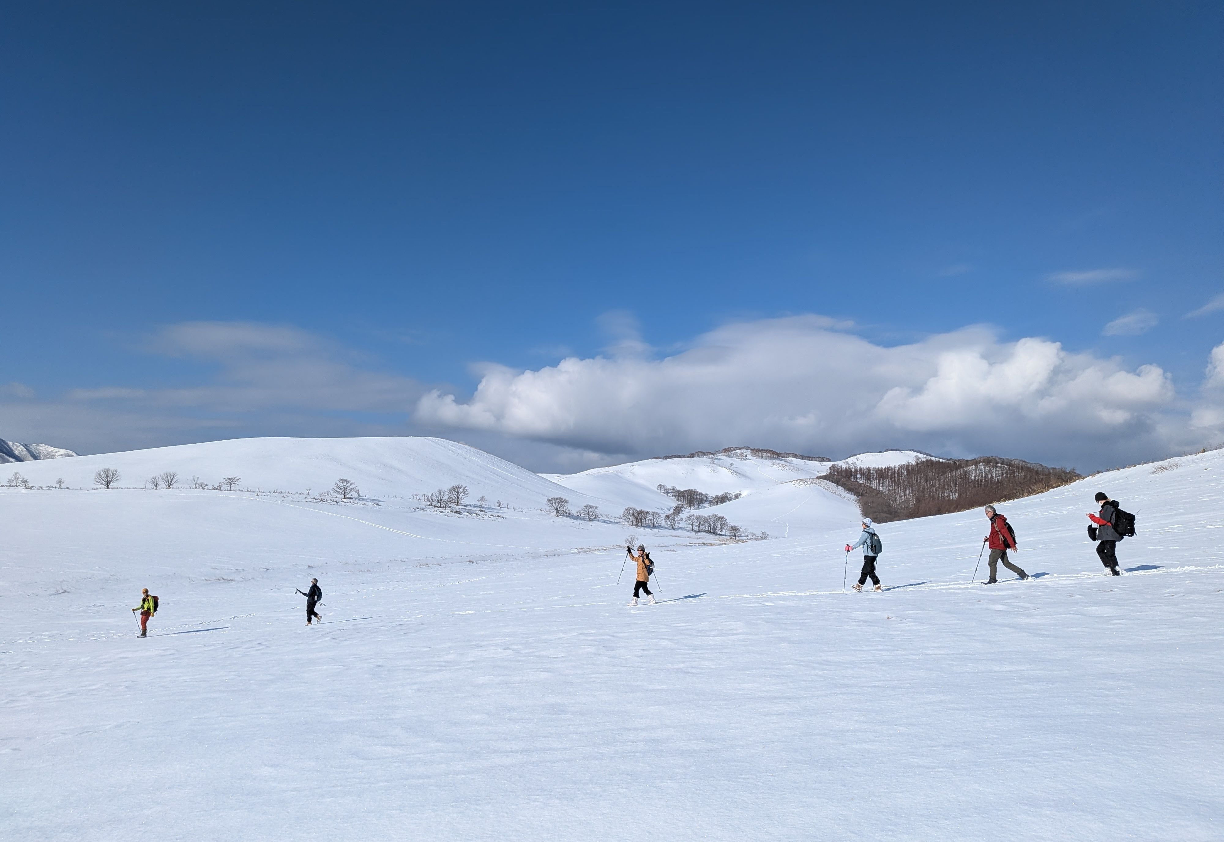 A line of snowshoers descends down a snow-covered hill. It is a very sunny day and some wave at the camera.