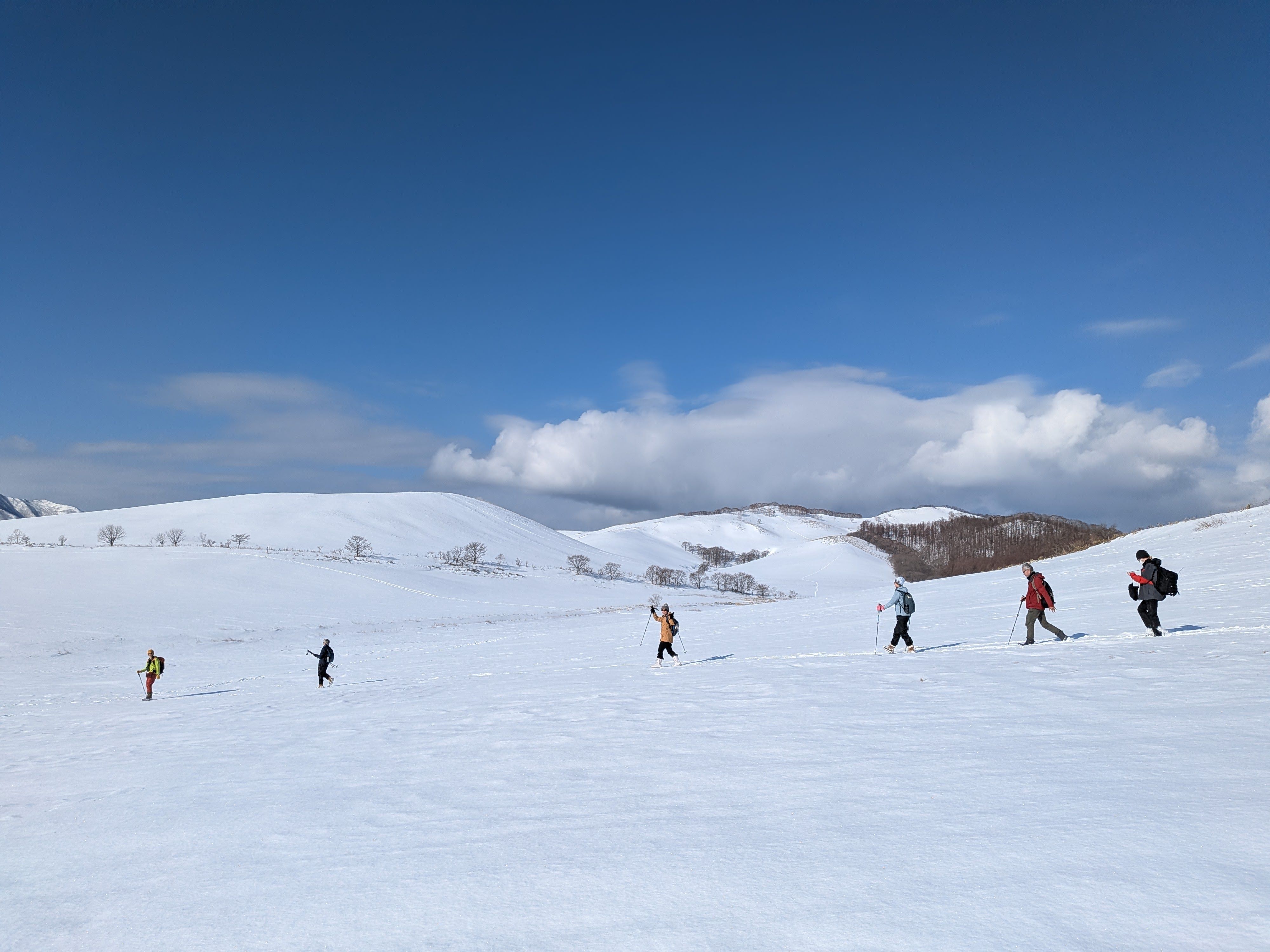 A line of snowshoers descends down a snow-covered hill. It is a very sunny day and some wave at the camera.