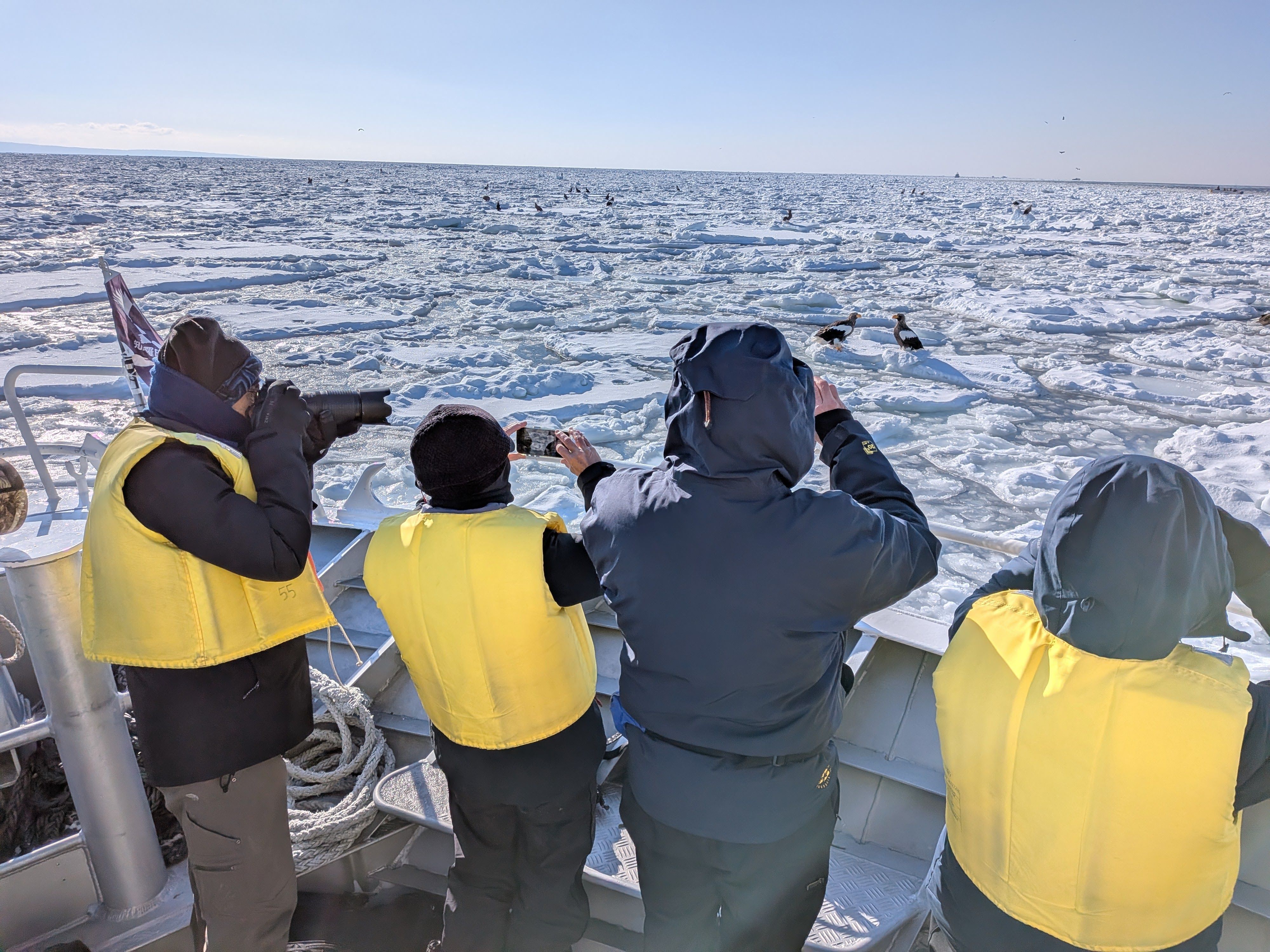 A line of four people on a ship stare out at Steller's sea eagles gathered on ice floes. Some are taking photographs with cameras and smartphones, others use binoculars to get a closer look at the birds.