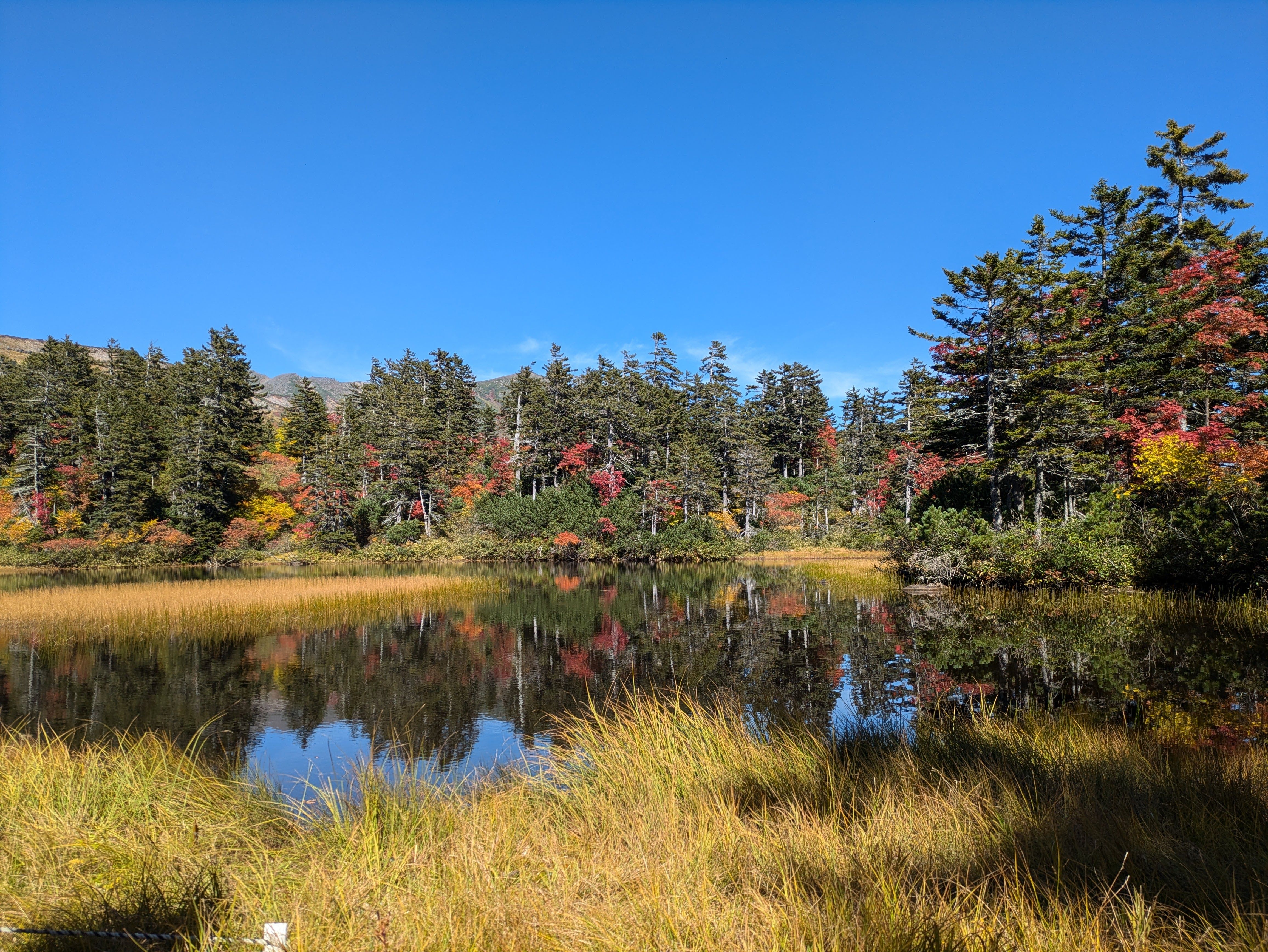 Around Daisetsuzan 6 Day Hiking Tour 2024 - Adventure Hokkaido