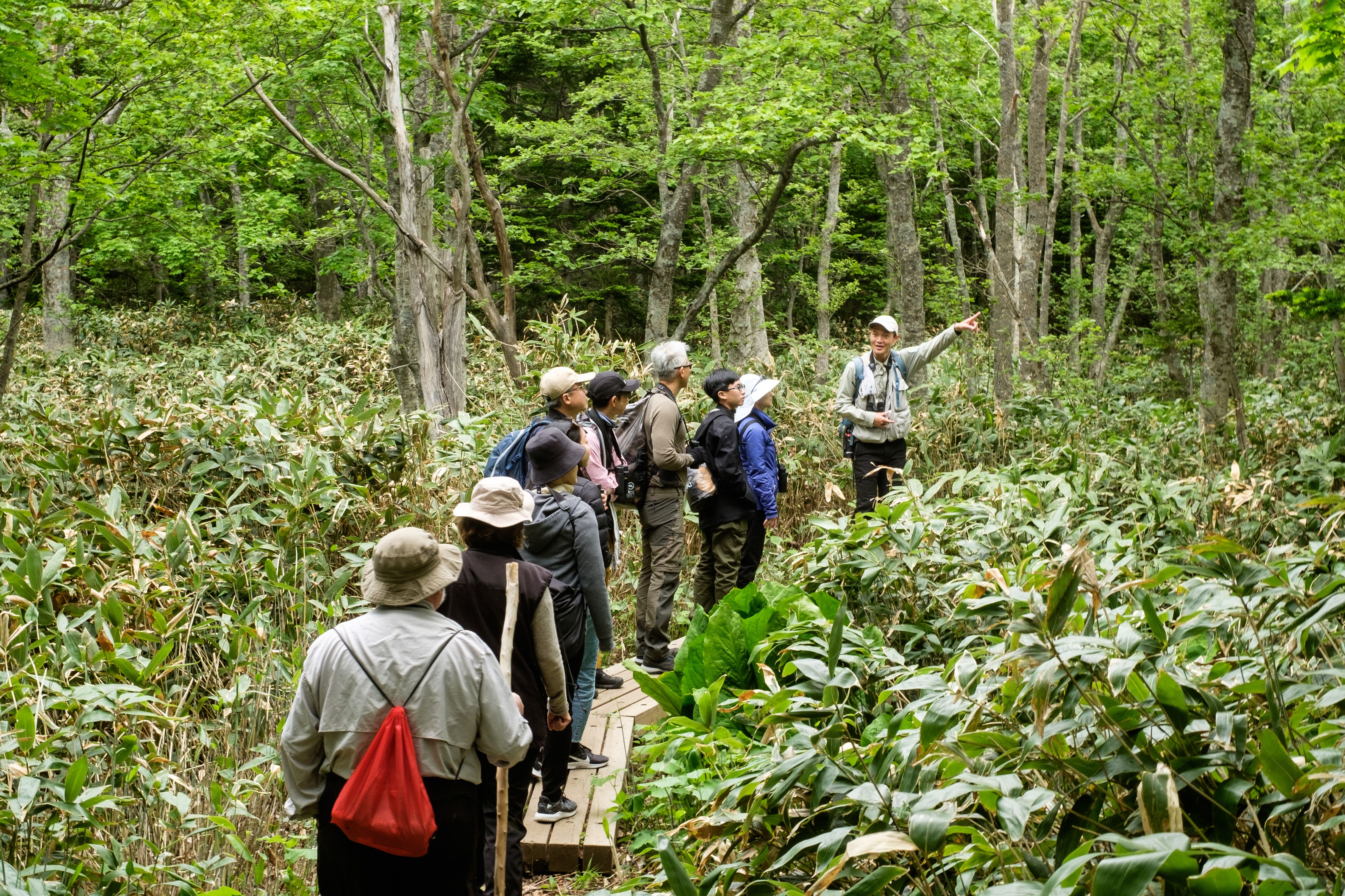 A nature guide points out a bird on a walk at Shiretoko Five Lakes
