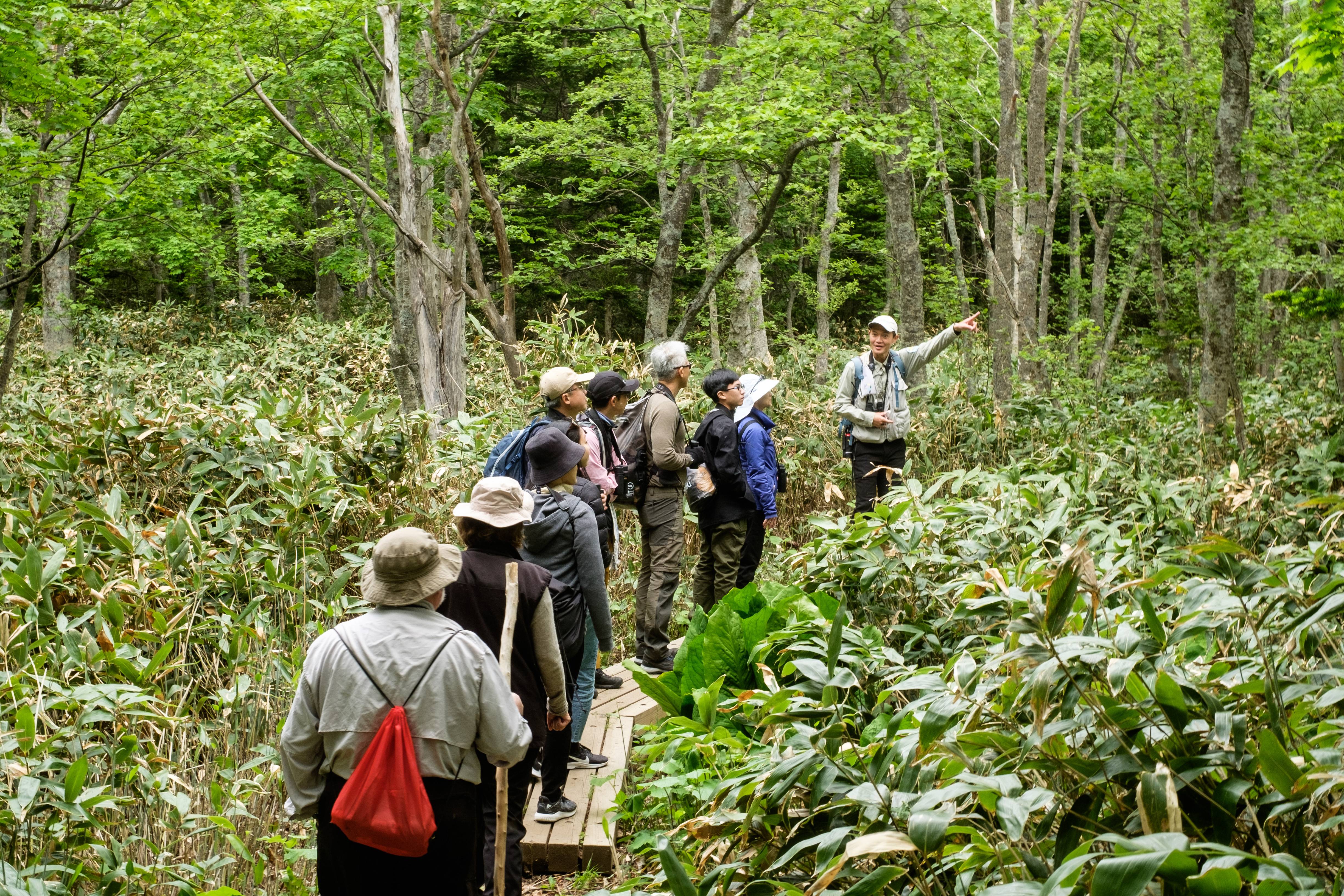 A nature guide points out a bird on a walk at Shiretoko Five Lakes