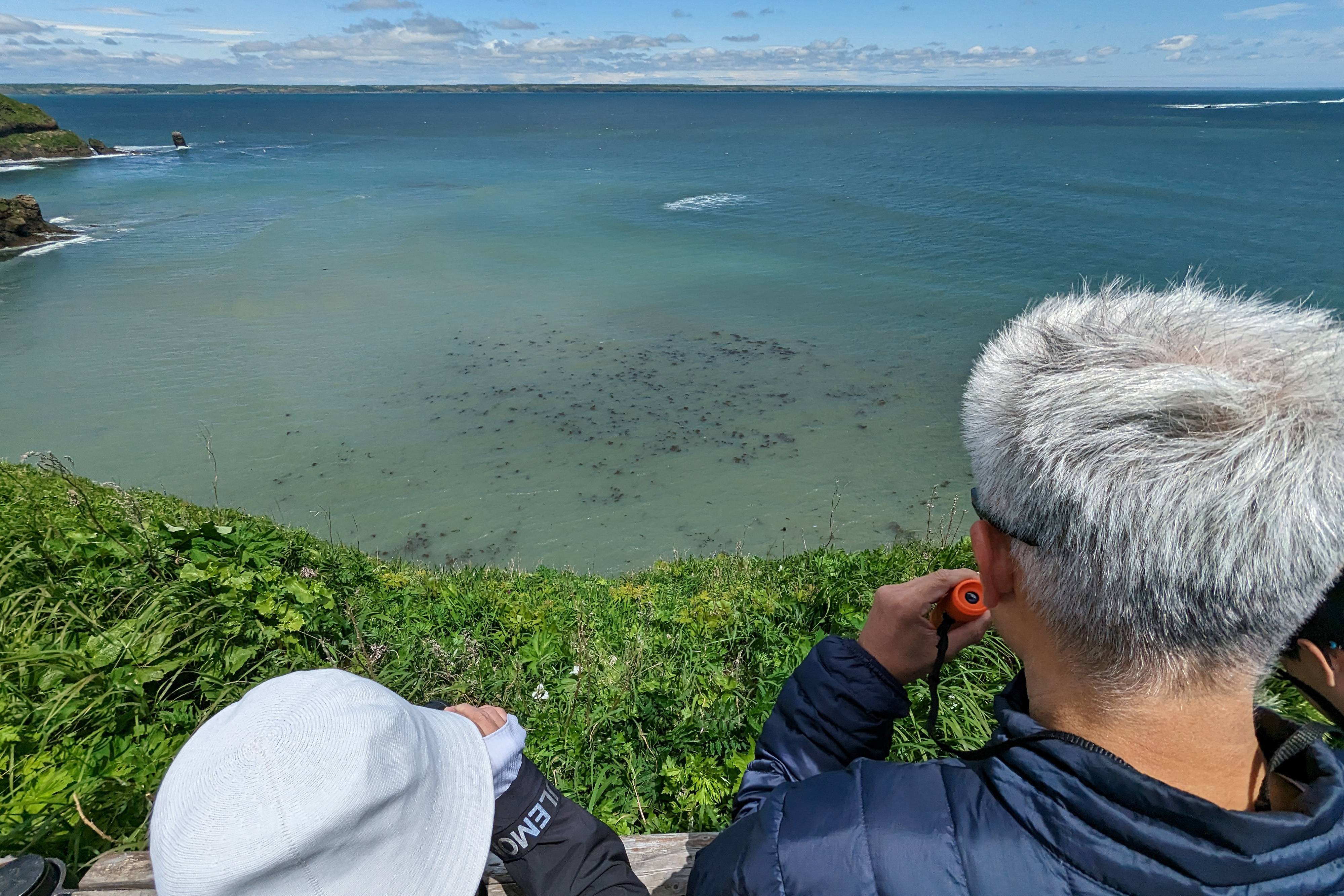 Two wildlife watchers search for Sea Otters along the pacific coast of Hokkaido