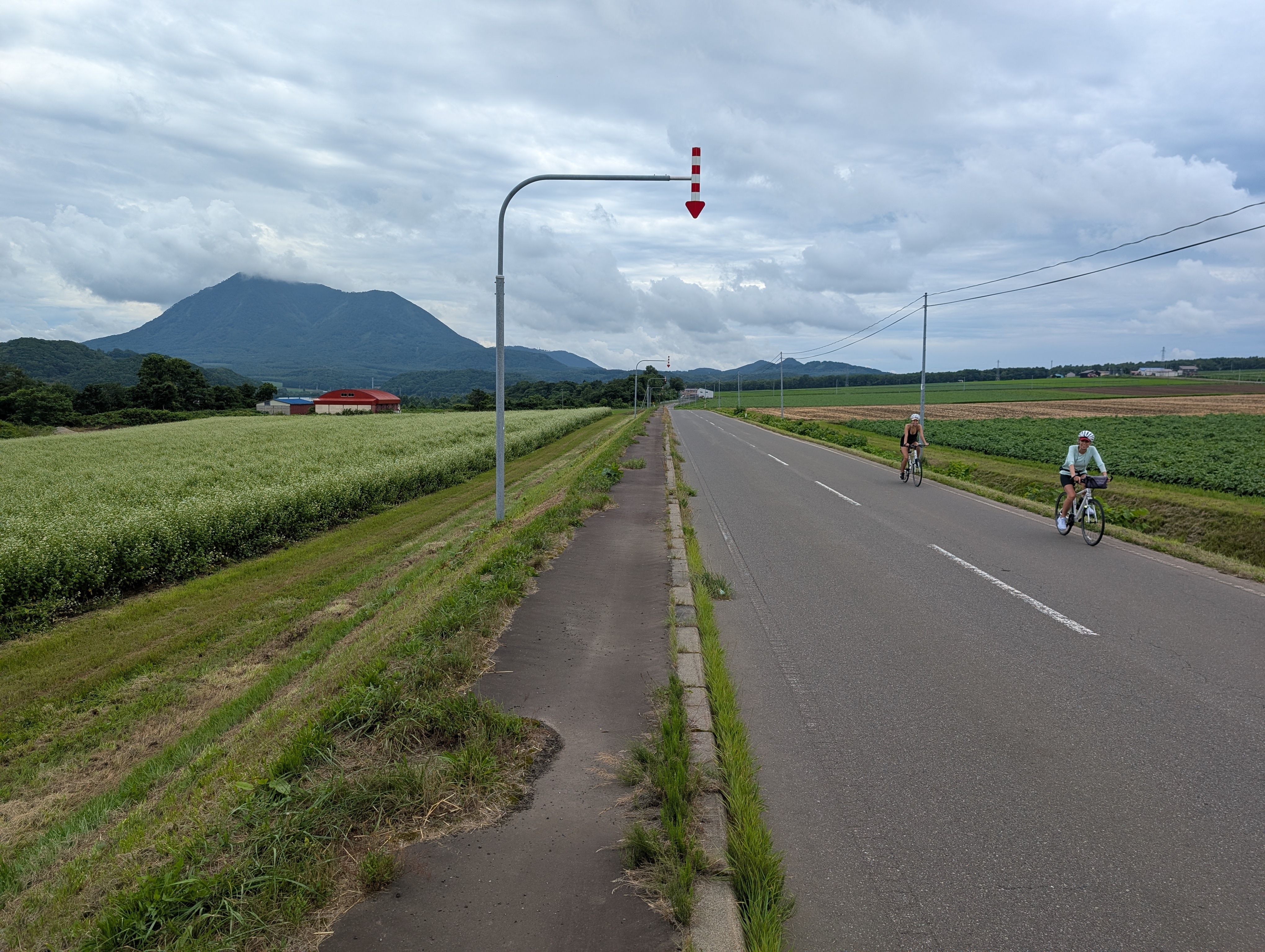 Two cyclists cycle along a road in Hokkaido. On either side of the road is vast farmland. A mountain is distantly visible in the background.