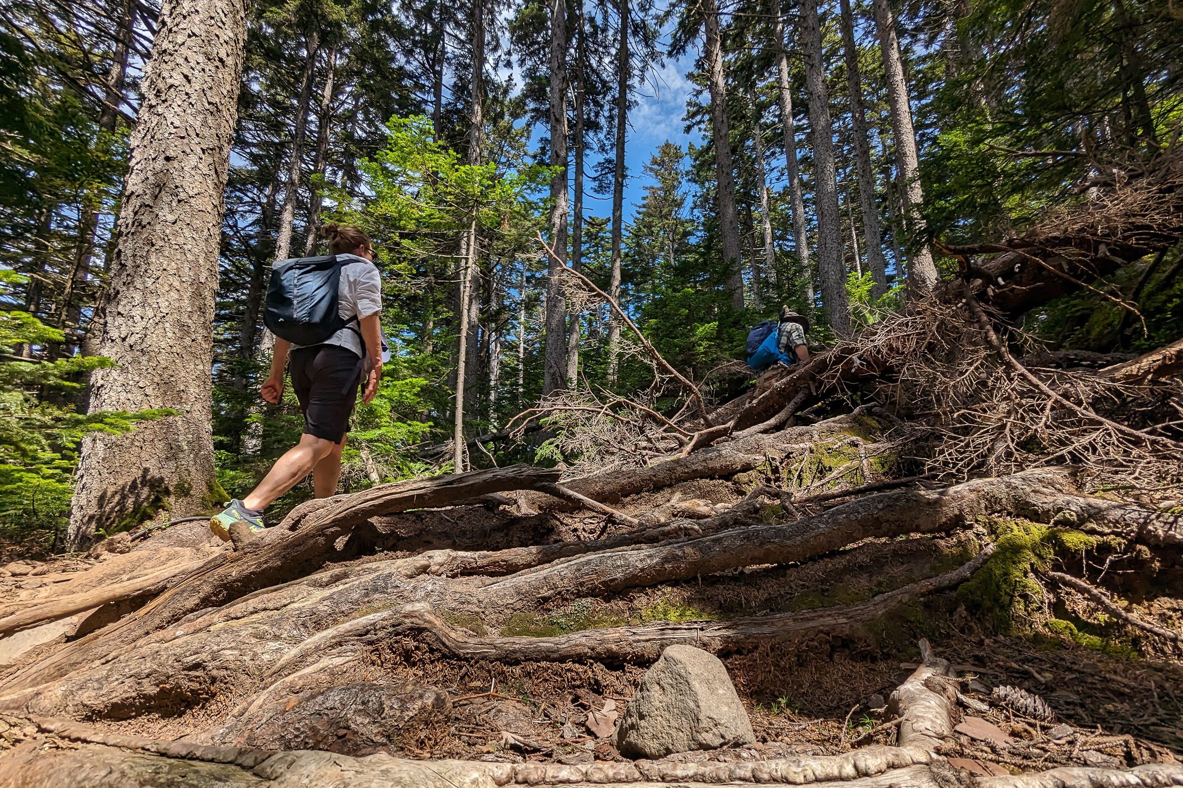 One Hokkaido's natural hiking trails on Mt. Meakan.