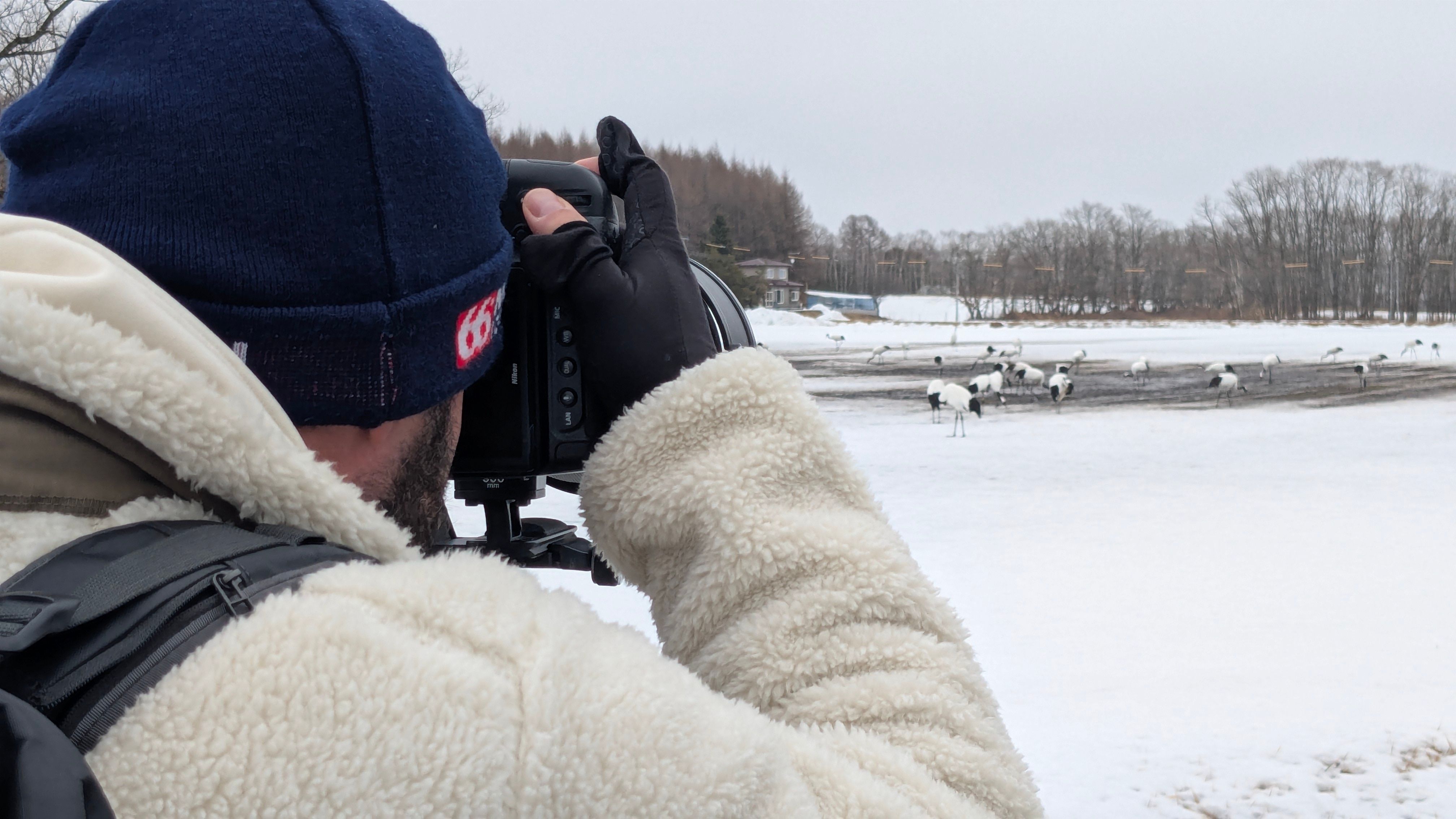 A photograph of a man holding a camera. His lens is pointed towards a flock of red-crowned cranes in the distance.