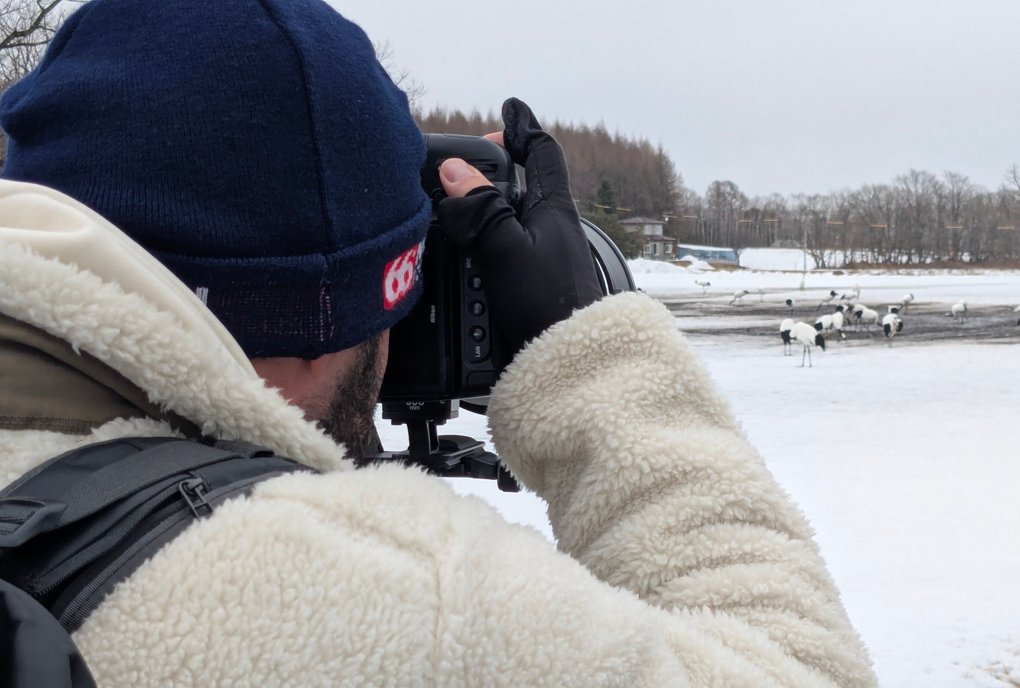 A photograph of a man holding a camera. His lens is pointed towards a flock of red-crowned cranes in the distance.