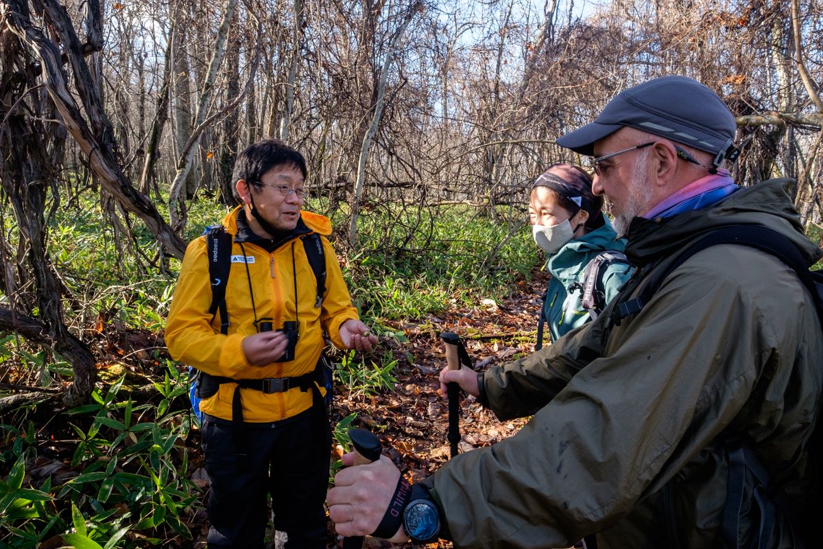 Guide Tobaji explaining about the identification of wild grapes