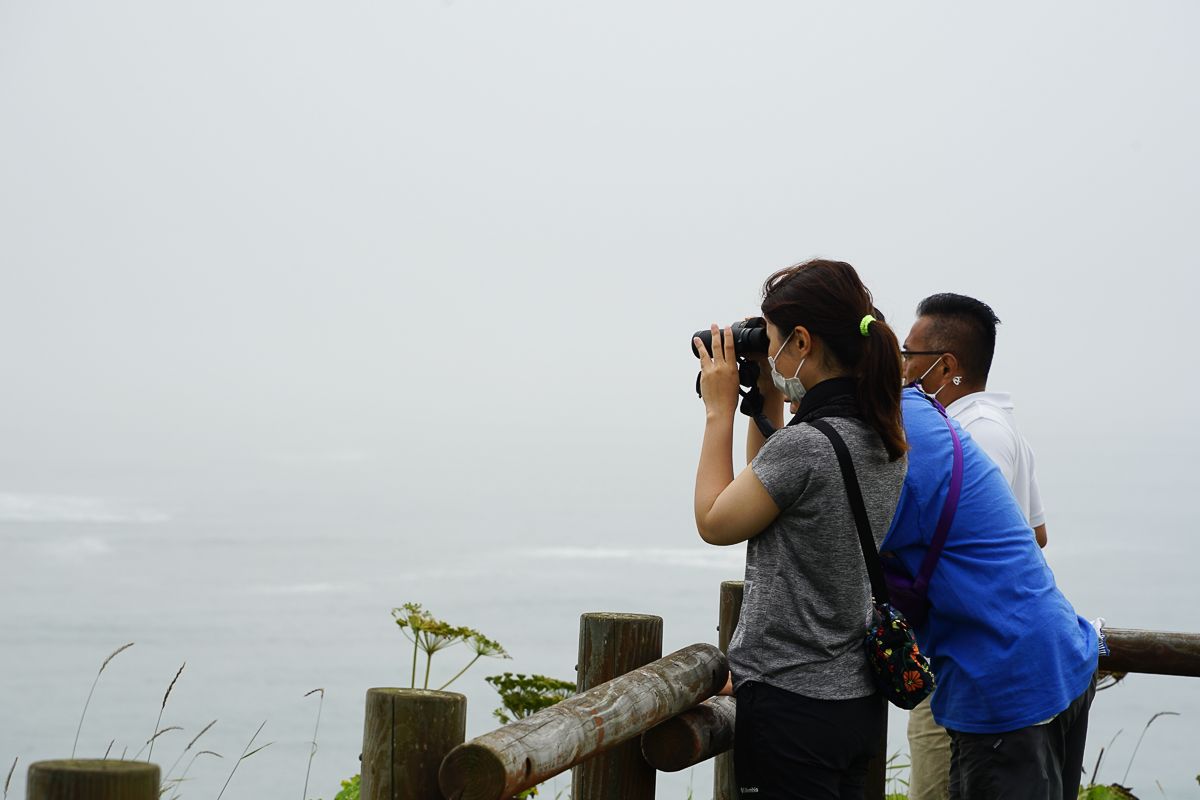 Looking for sea otters at Cape Kiritappu