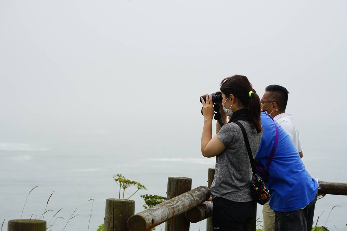 Looking for sea otters at Cape Kiritappu