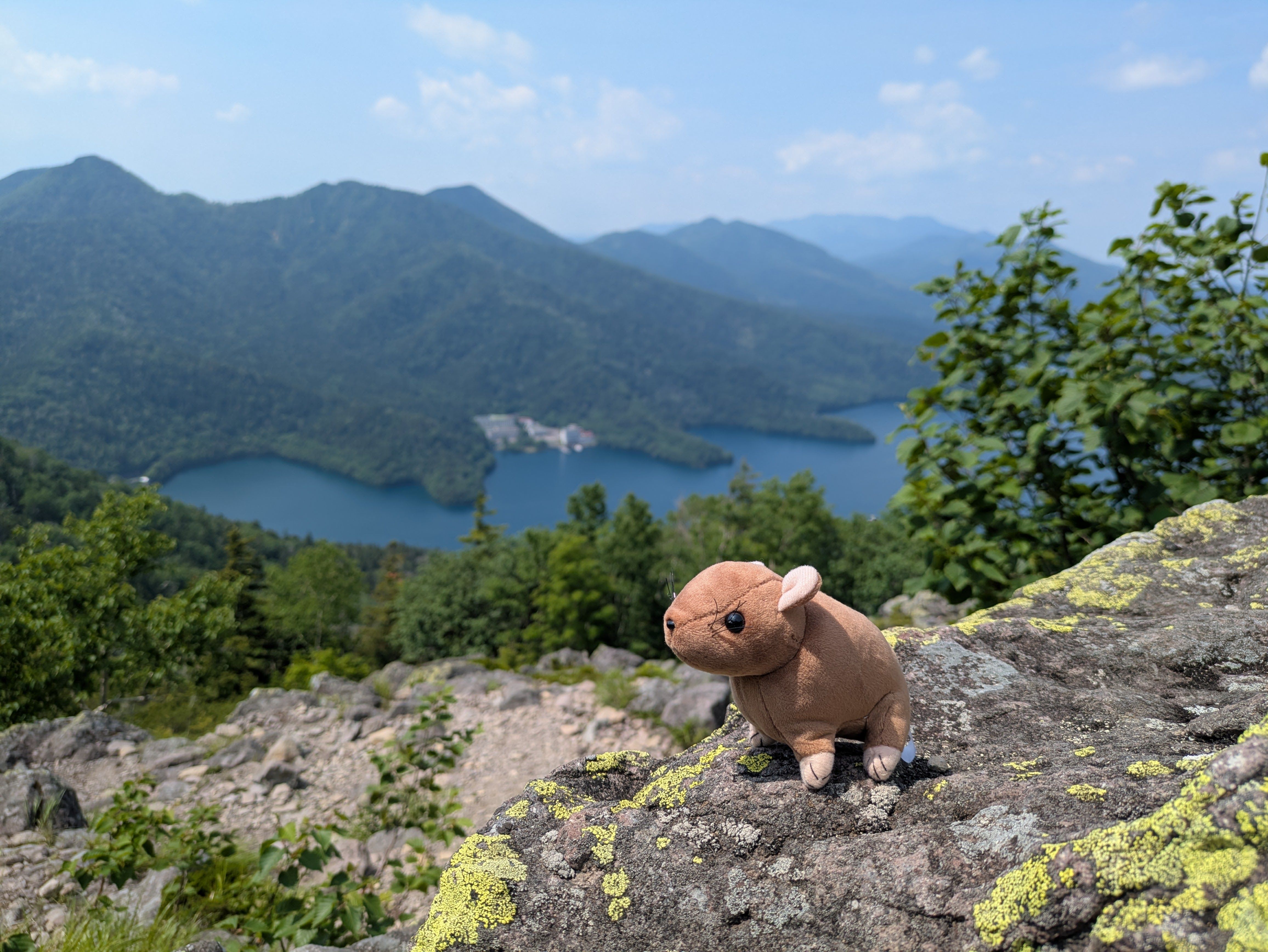 A toy of a Northern Pika (an alpine animal) on a rock overlooking Lake Shikaribetsu in Hokkaido, Japan. It's a beautifully sunny day.