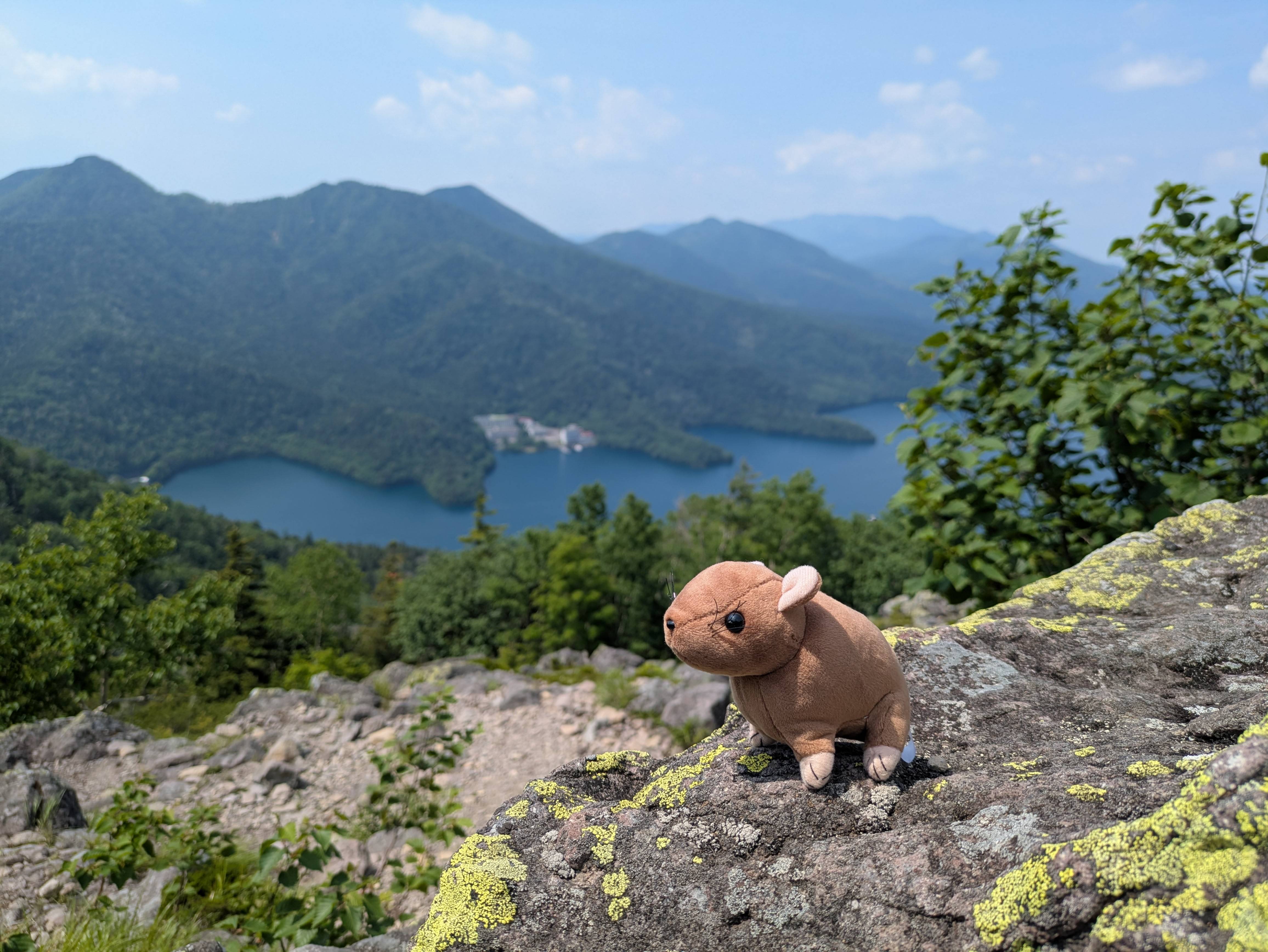 A toy of a Northern Pika (an alpine animal) on a rock overlooking Lake Shikaribetsu in Hokkaido, Japan. It's a beautifully sunny day.