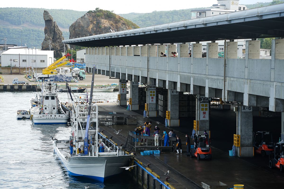 Viewing the unloading of fish caught at Shiretoko Utoro