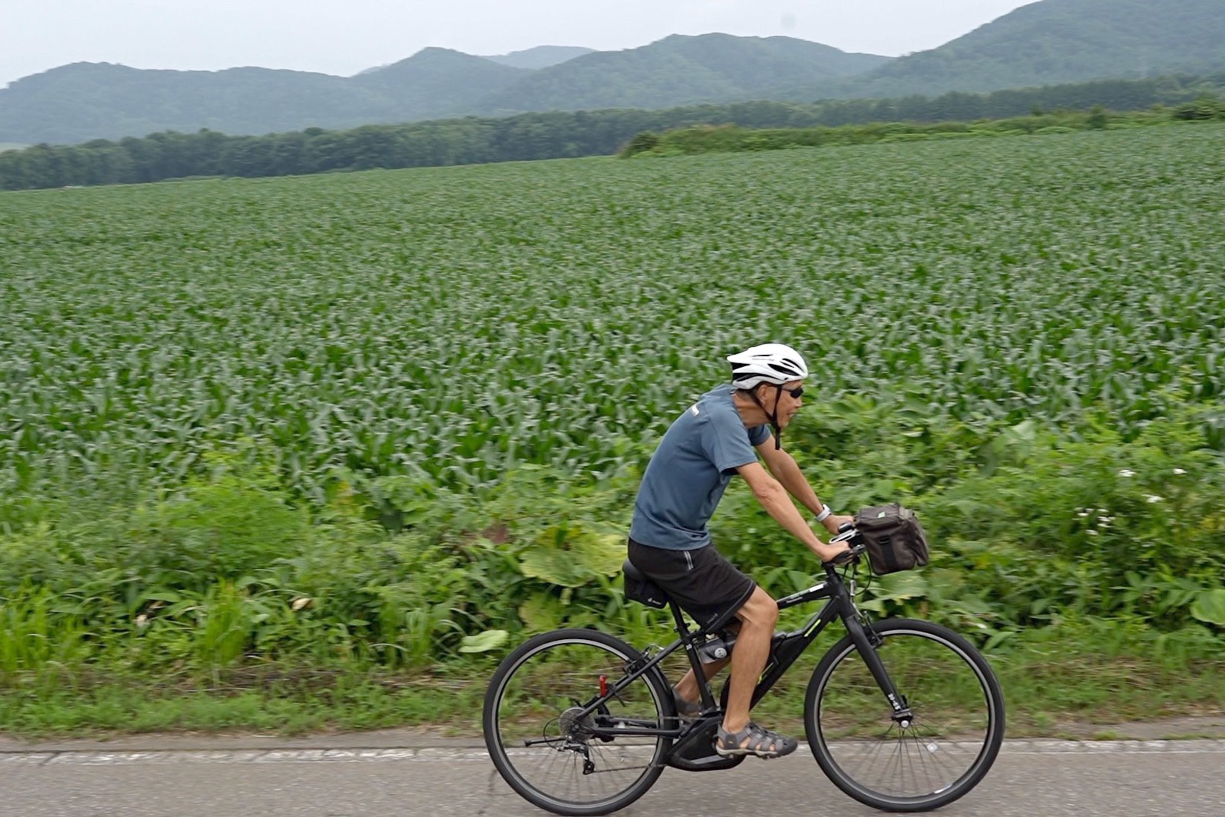 A cyclist riding by green crop fields in Central Hokkaido.