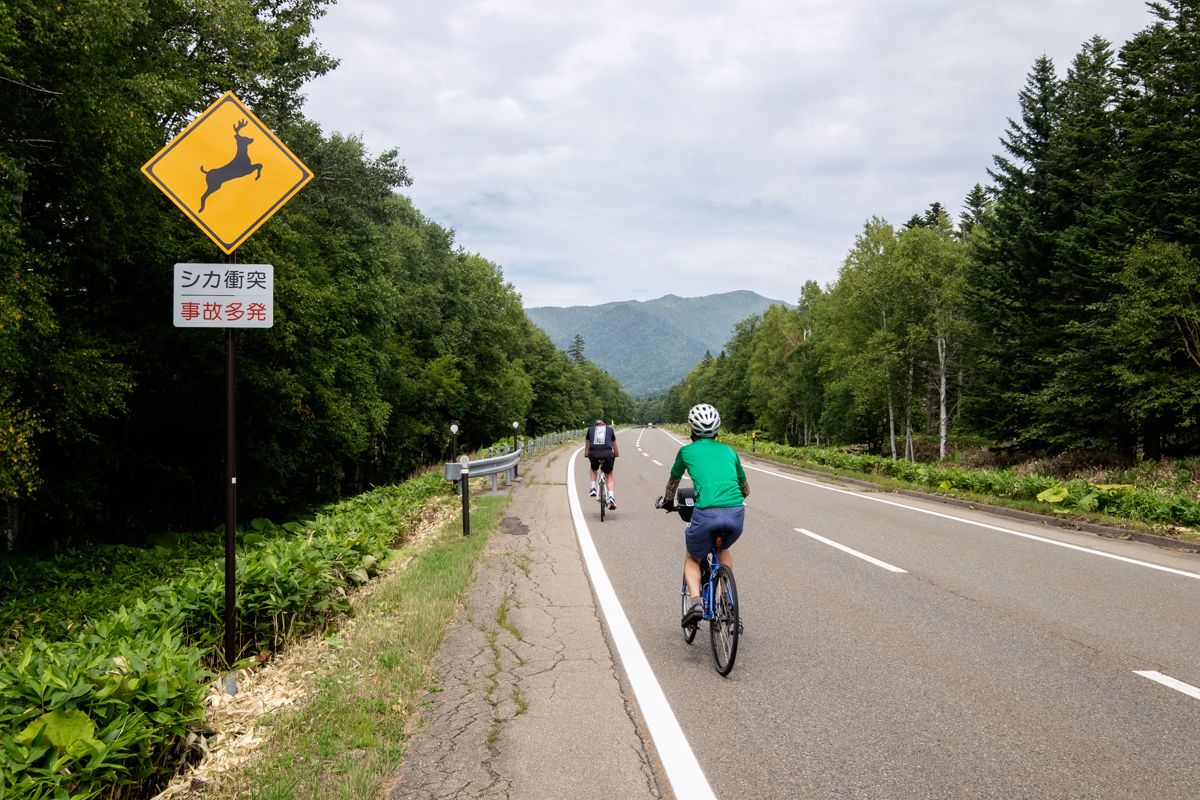 Cyclists ride past a sign warning about deer crossing the road