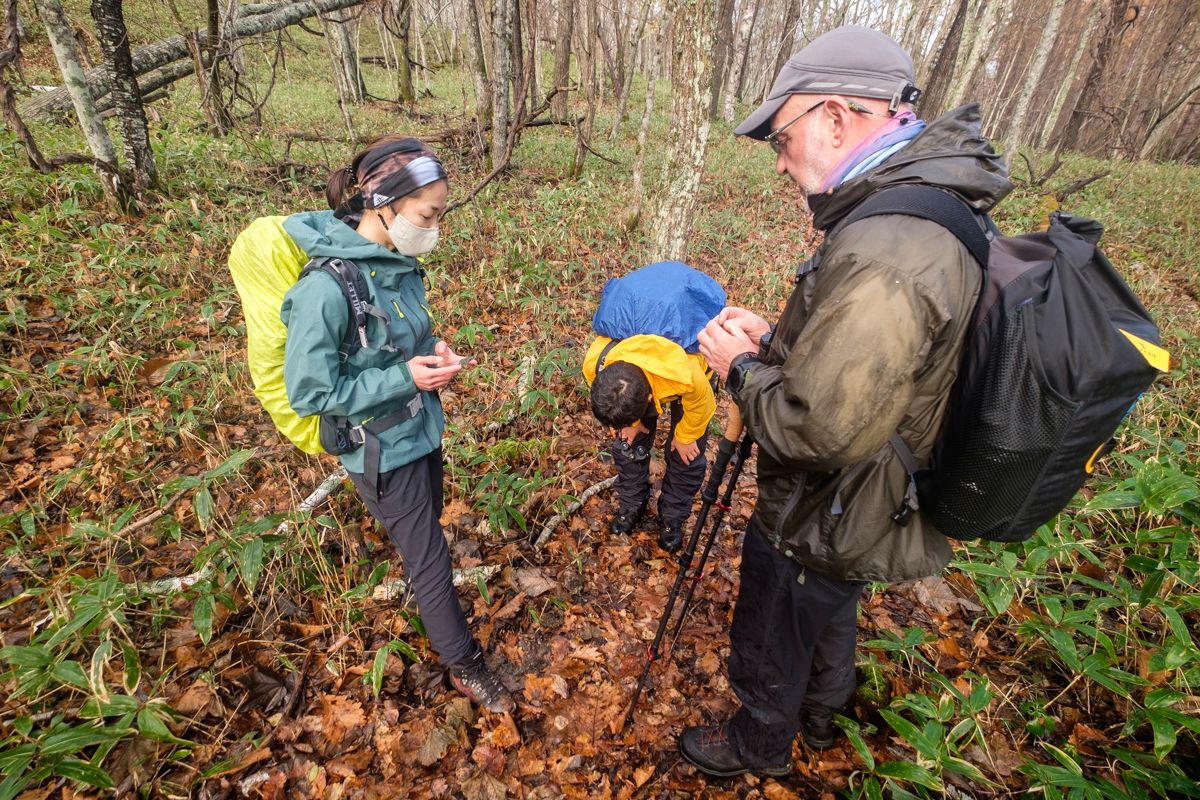 Discovering the difference between mushroom and fungi