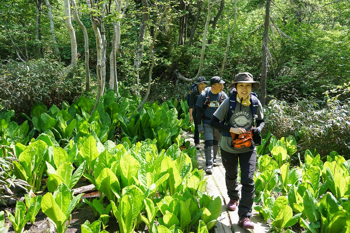 Hiking to Kogen Numa, Daisetsuzan National Park