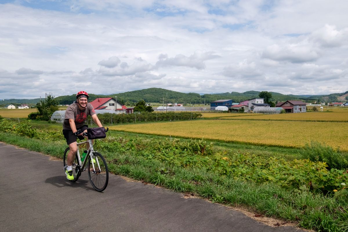 A cyclist rides past farm houses and yellow rice fields
