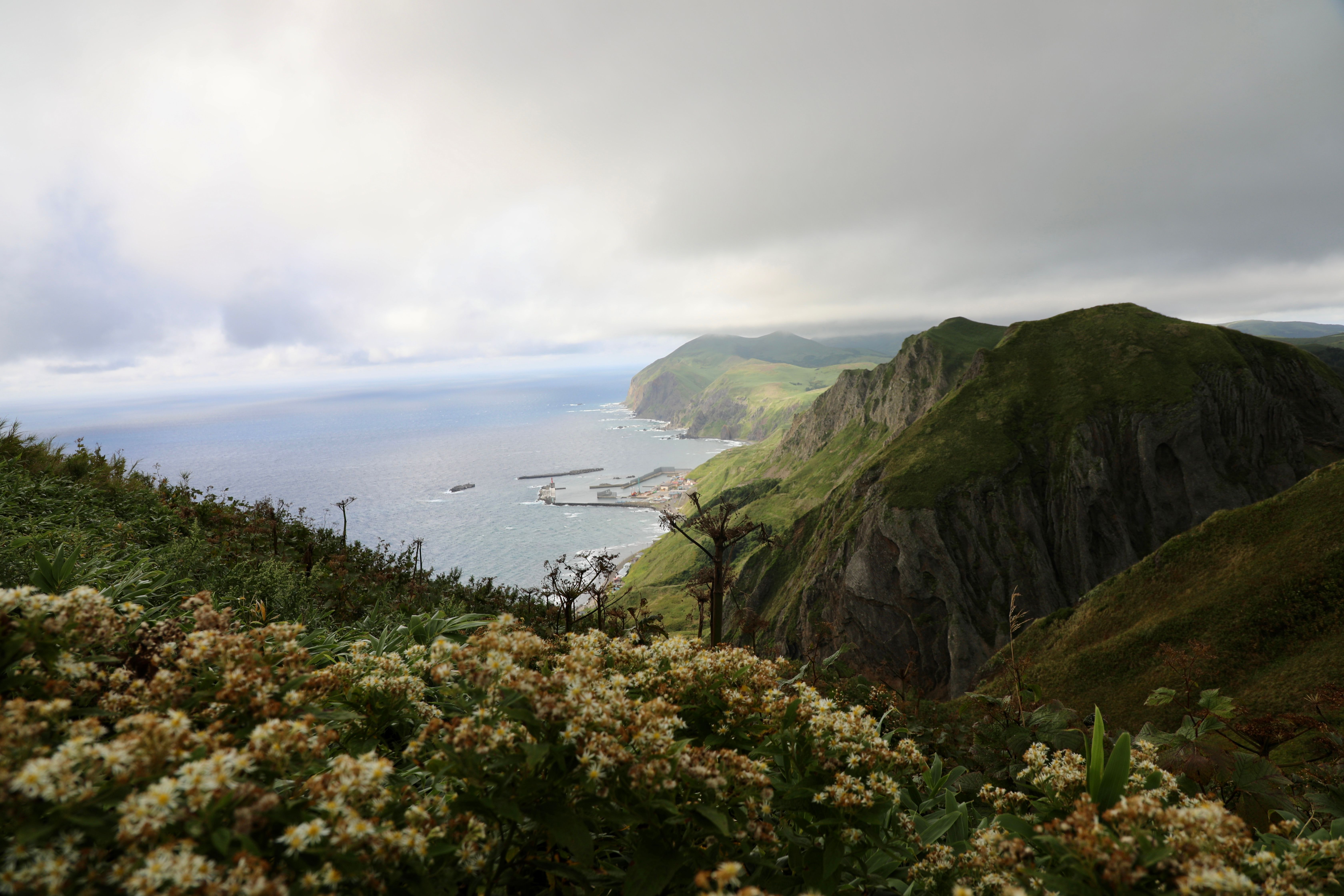 A photograph of a rocky cape taken on Rebun Island, Hokkaido. White flowers are visible in the foreground. It is a slightly overcast day, but the sun shines down on the ocean between gaps in the clouds in the distance. Photo credit: Samir Patel