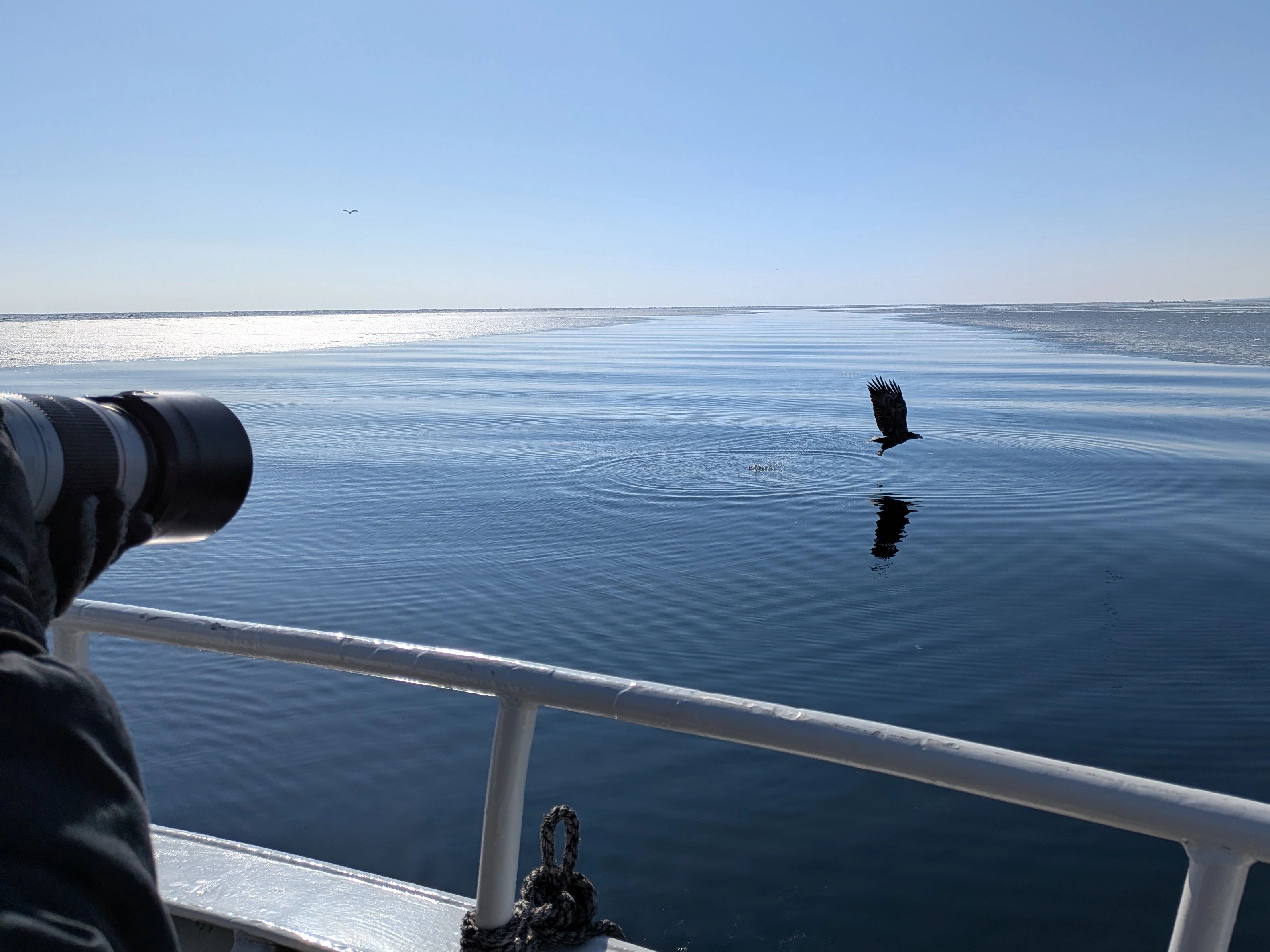 Off the coast of Rausu, a Steller's Sea Eagle flies low over deep blue water in Shiretoko. A photographer with a telephoto lens watches from a boat's railing as the eagle creates ripples and a dark reflection on the calm sea.