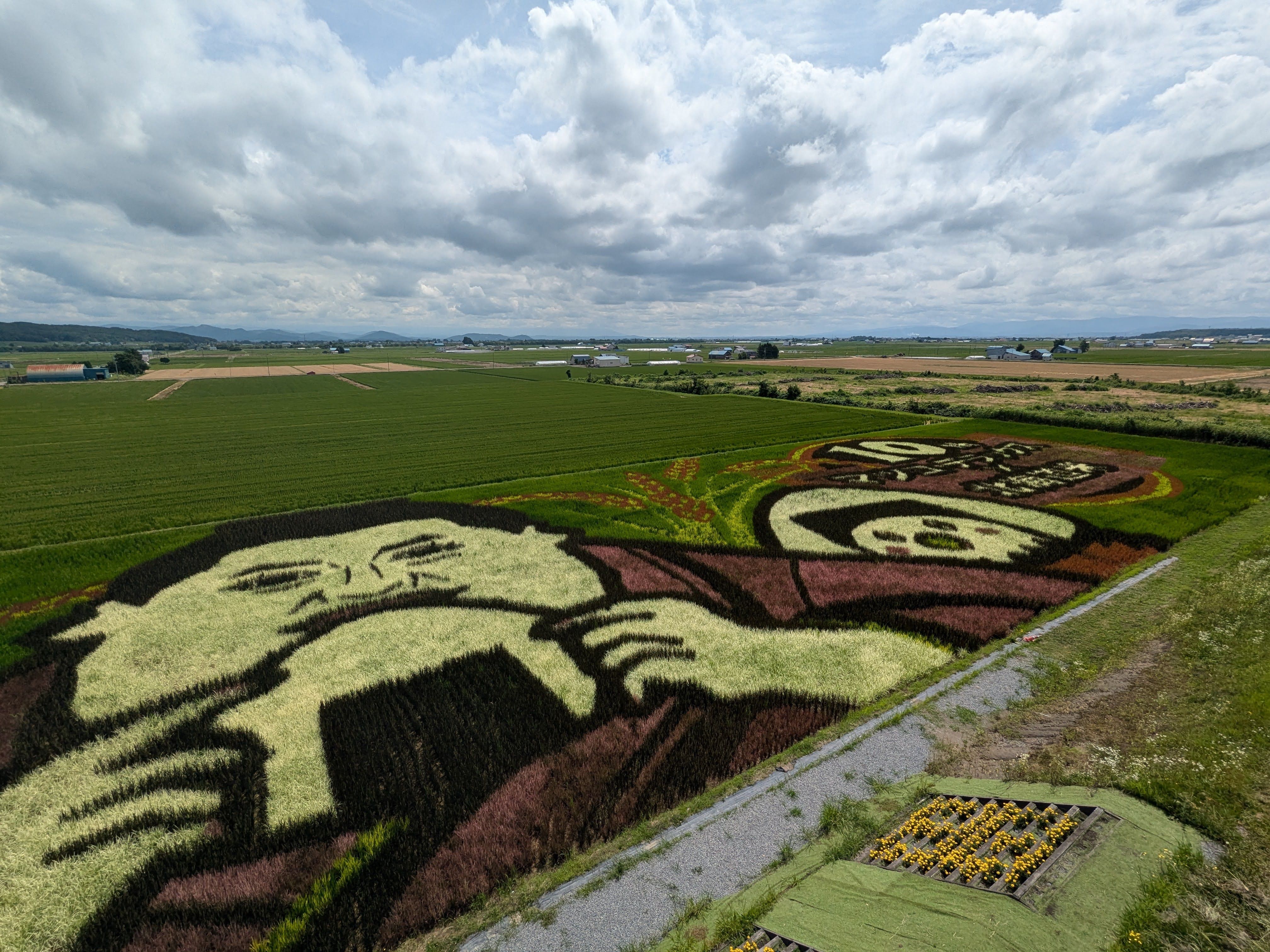 An aerial view of rice paddy art in Takasu, Hokkaido. The art depicts Matsuko Deluxe, a famous Japanese drag queen, eating a rice ball.