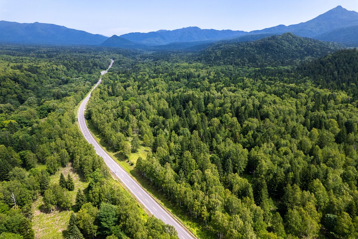 A drone photo of a lone road cutting through the forests and mountains of the Daisetsuzan National Park