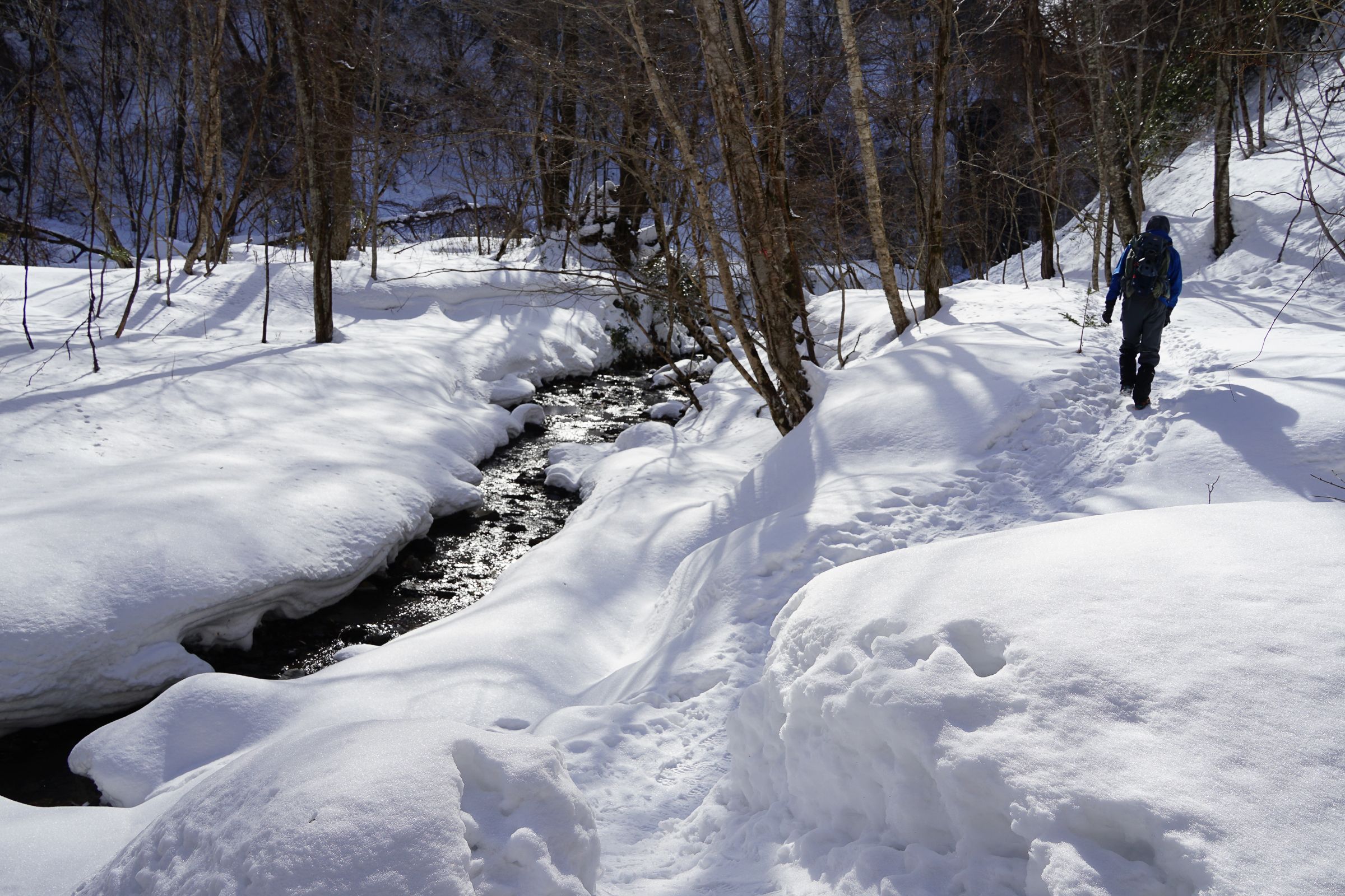 A hiker in a blue jacket follows a snowshoe trail through deep white drifts in Shiraoi, Hokkaido. The winter scene features a dark, narrow stream winding through the snow-covered forest under bright sunlight and bare trees.