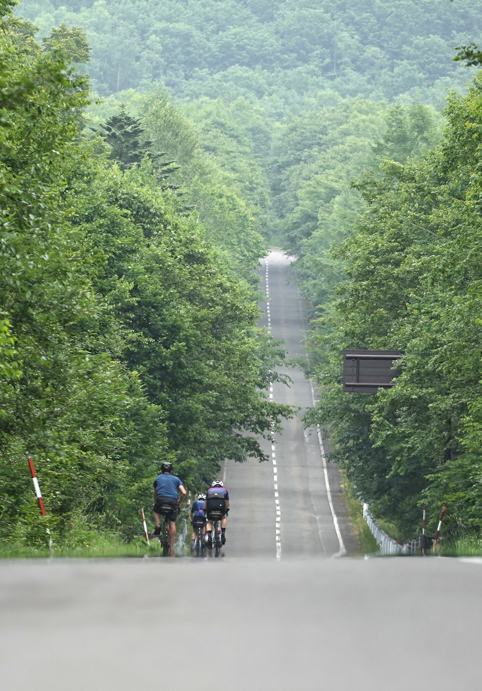 A group of cyclists on a long straight road in the middle of forest, central Hokkaido.