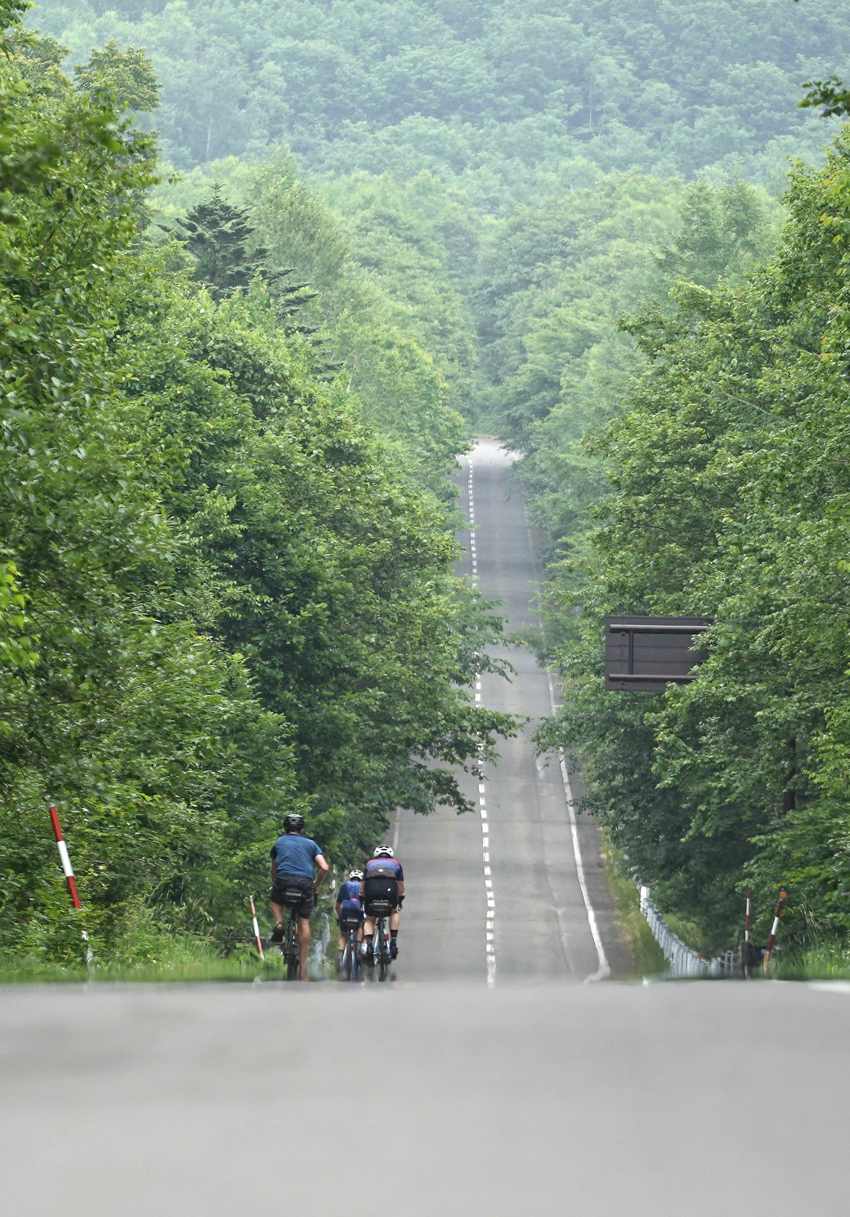 A group of cyclists on a long straight road in the middle of forest, central Hokkaido.