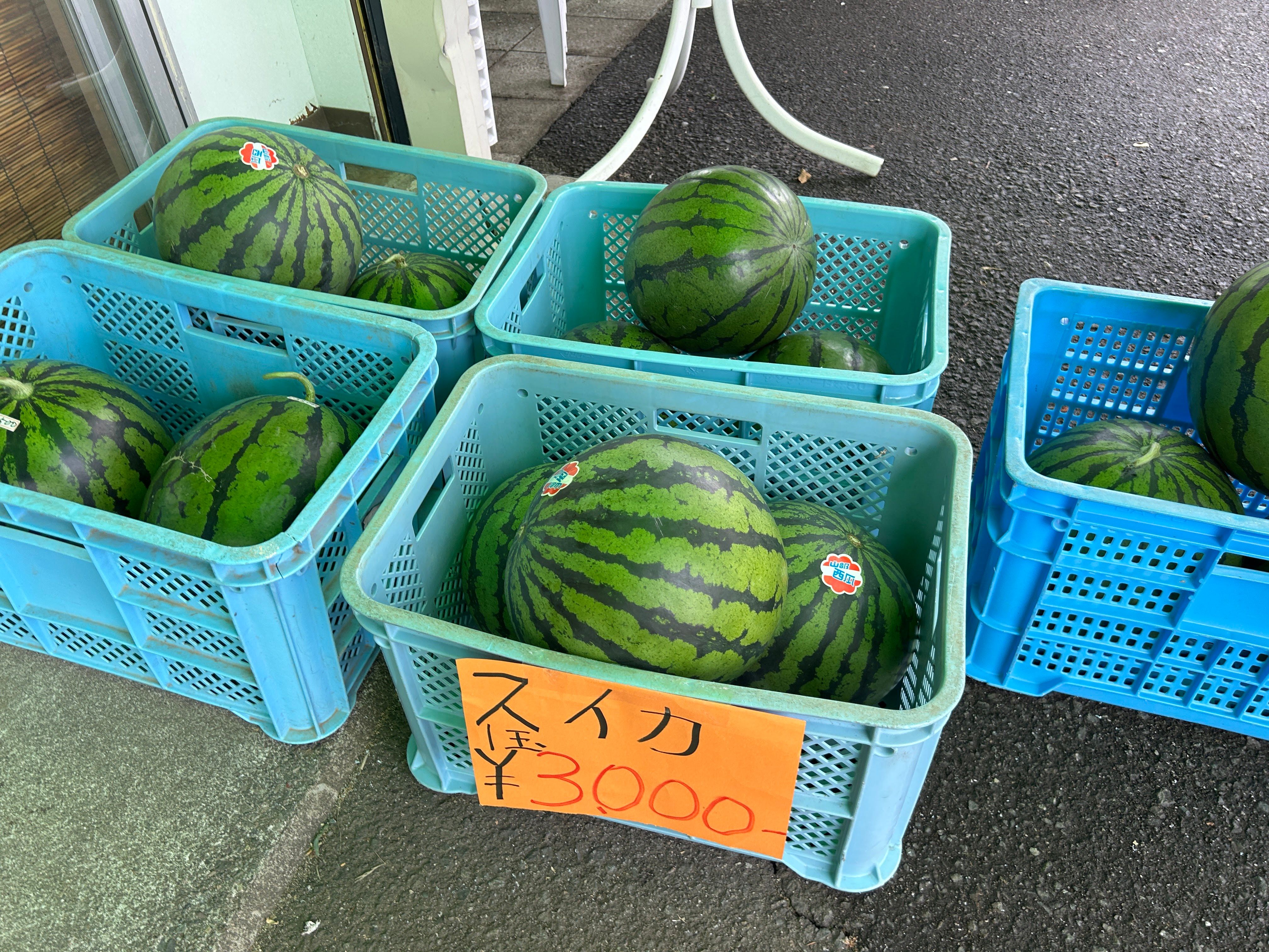 Several large watermelons sit in plastic crates. A sign pinned to one of the crates in Japanese reads "Watermelons: 3000yen per melon".