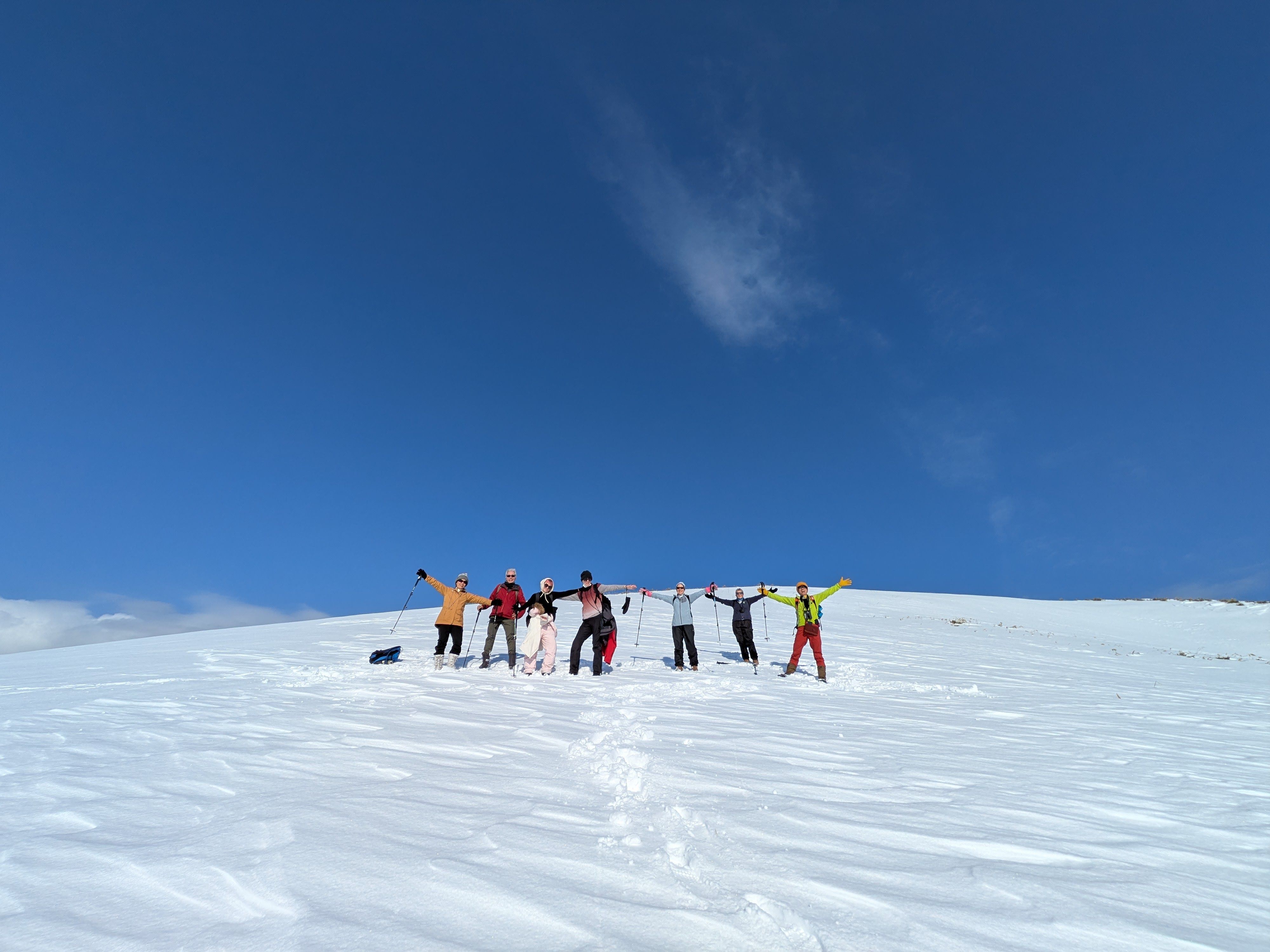 A group of people in snowshoes pose on a snow-covered hill. It is a sunny day and the snow is perfectly white.