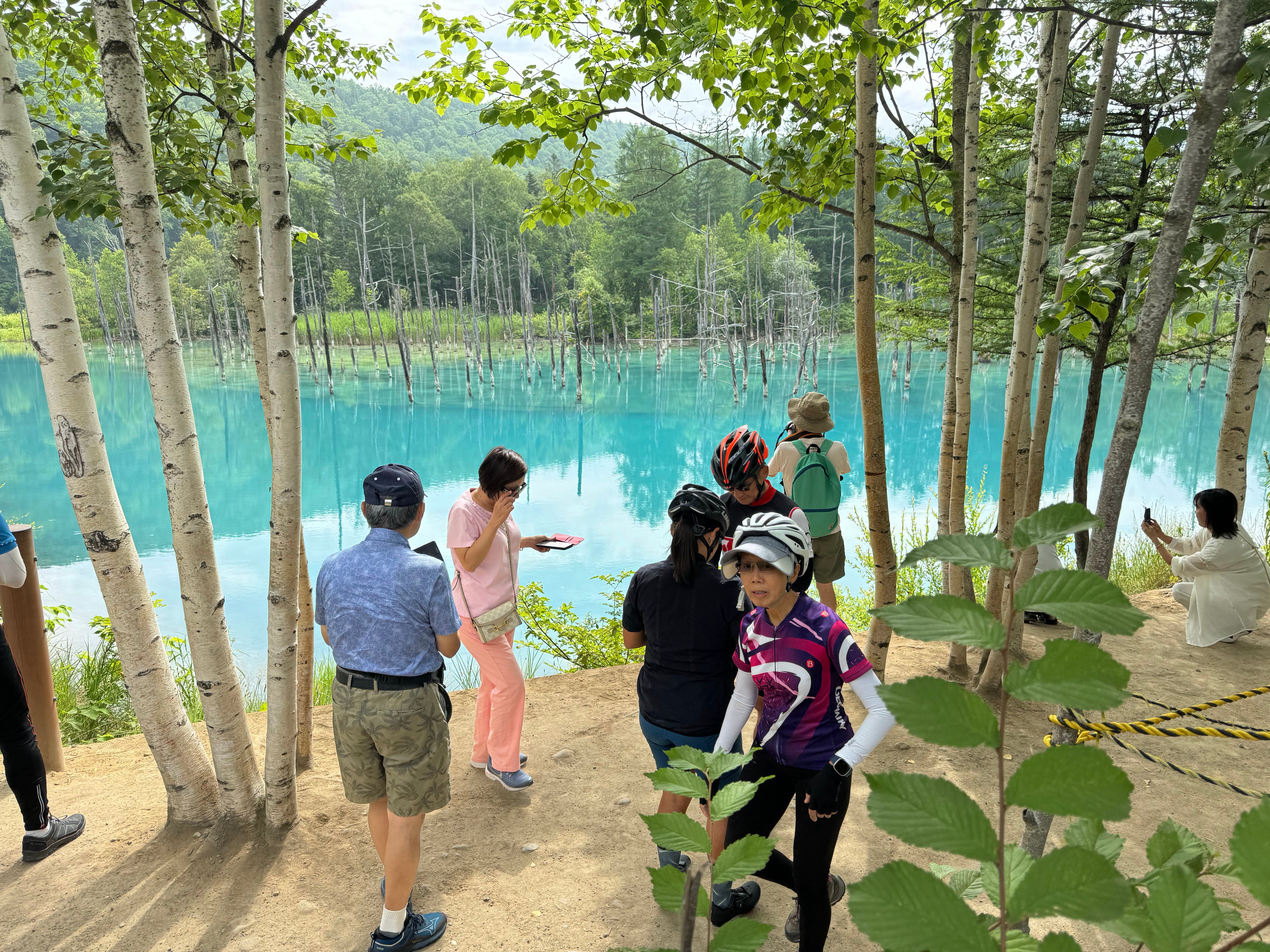A group of cyclists admire the Blue Pond in Biei, Hokkaido. The pond is the colour of a bright blue candy. Leafy green birch trees surround the pond.