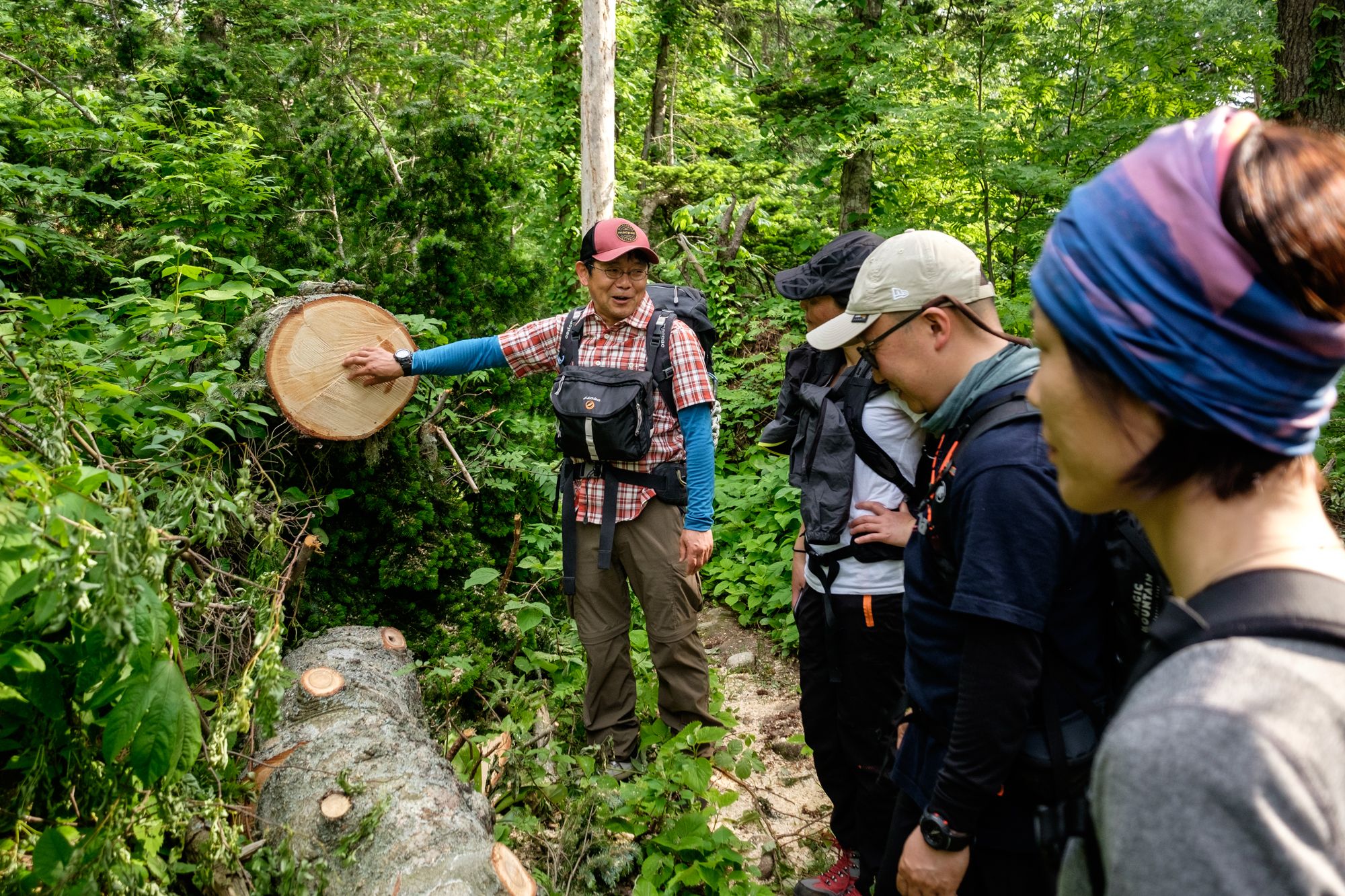 Guide Tobaji describes the forest management