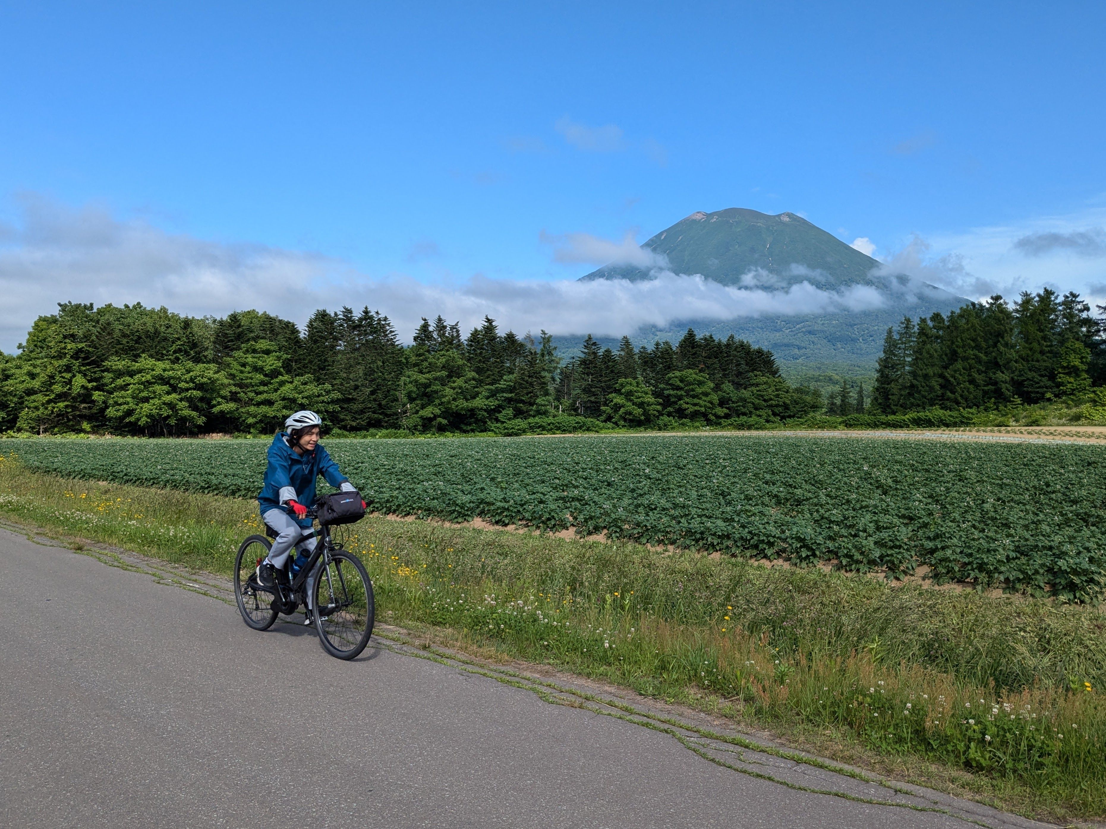 A cyclist rides past Mt. Yotei in Hokkaido, Japan. The mountain is just emerging from the clouds on a sunny day and has a mysterious look to it. Next to the cyclist is a field of young potato crops.