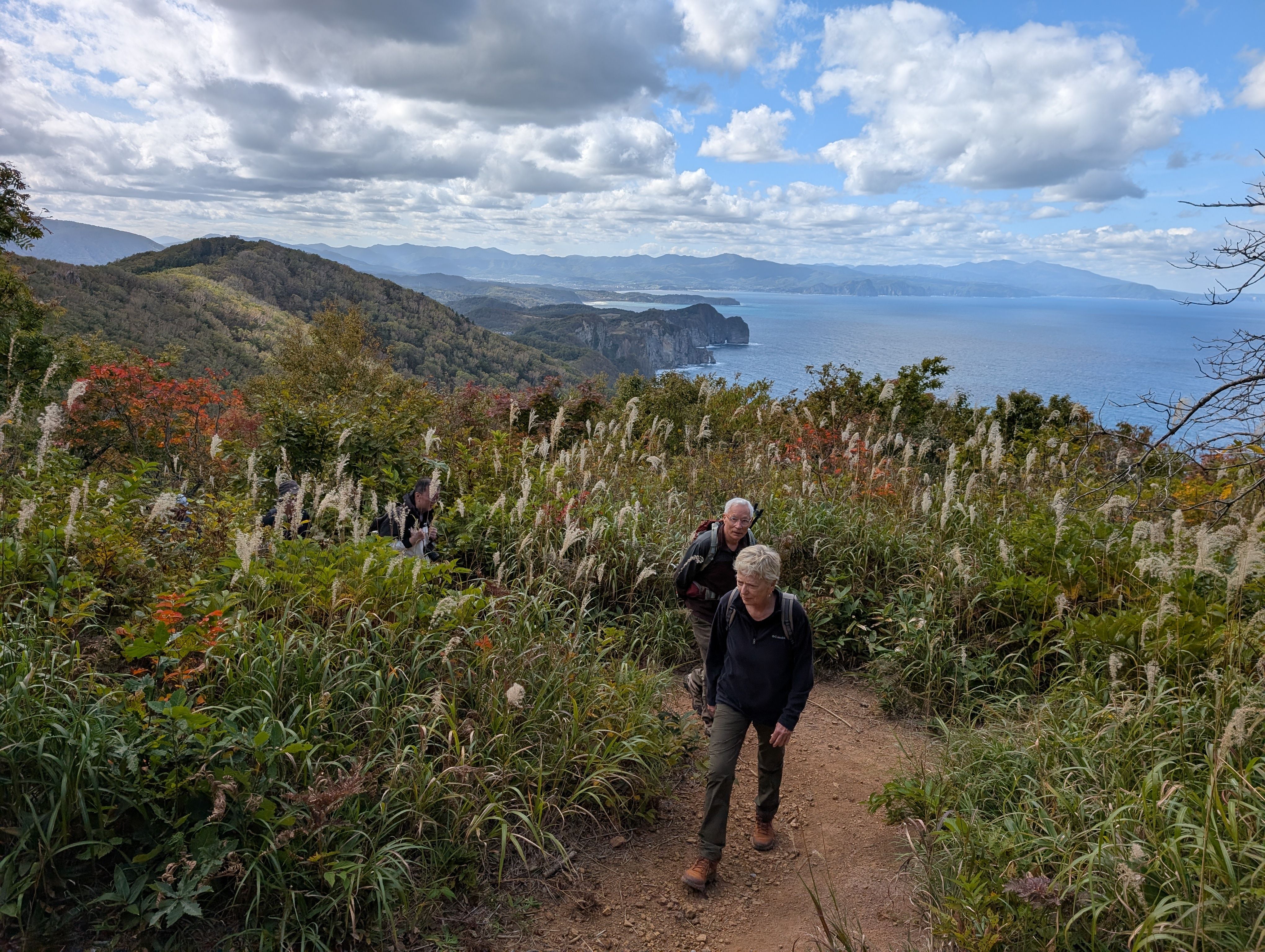 Two hikers walk along a dirt path on a coastal hiking route. In the distance behind them, cliffs stretch out into the sea. It is a sunny day and the ocean reflects the blue sky. It is early autumn and fluffy pampas grass grows in the undergrowth around the hikers.