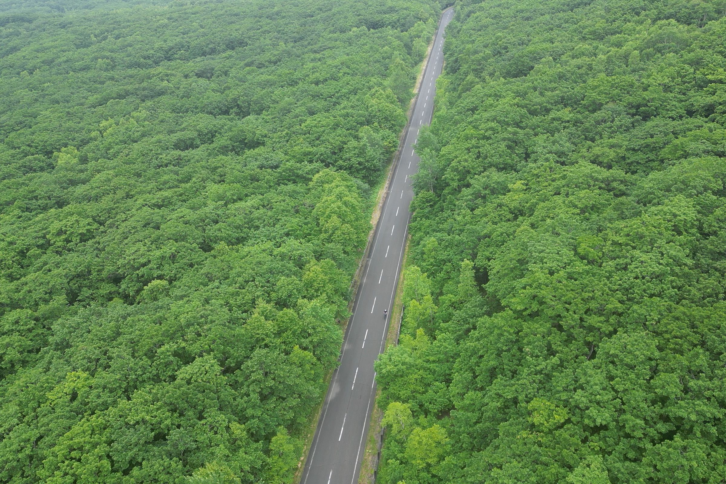A straight Mikuni Pass road cutting through green forests, photographed from the air.