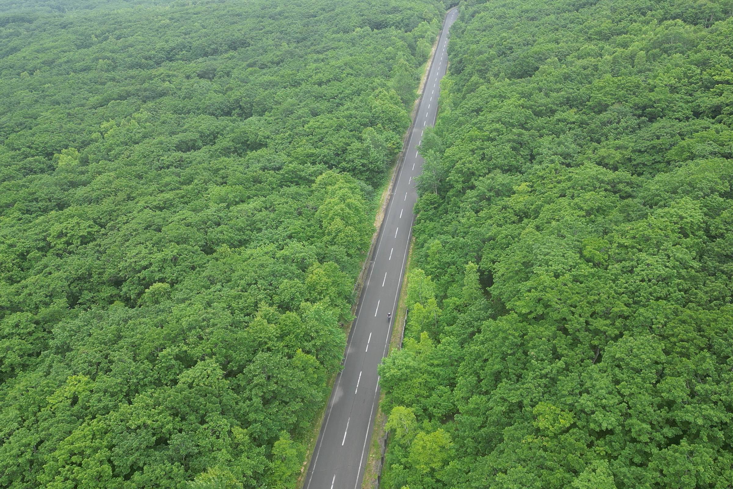 A straight Mikuni Pass road cutting through green forests, photographed from the air.