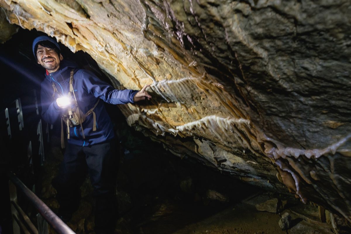 Guide explaining how the limestone is formed