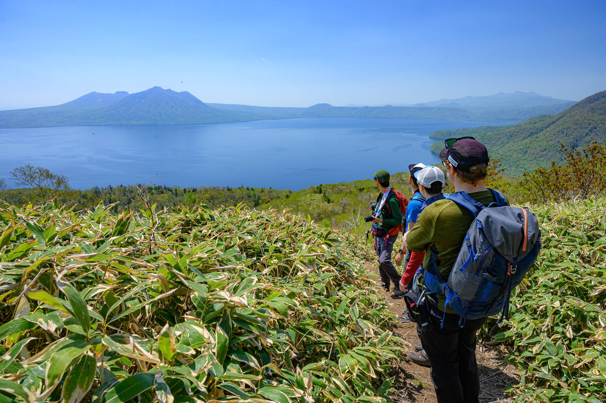 Four guides, seen from behind, are looking out over Lake Shikotsu under a clear blue sky. They stand on a narrow dirt path, surrounded by lush green and white-tipped bamboo-like foliage. The expansive, deep blue lake fills the middle ground, framed by distant, tree-covered mountains. The guide in the foreground wears a dark cap with the Adventure Hokkaido logo.
