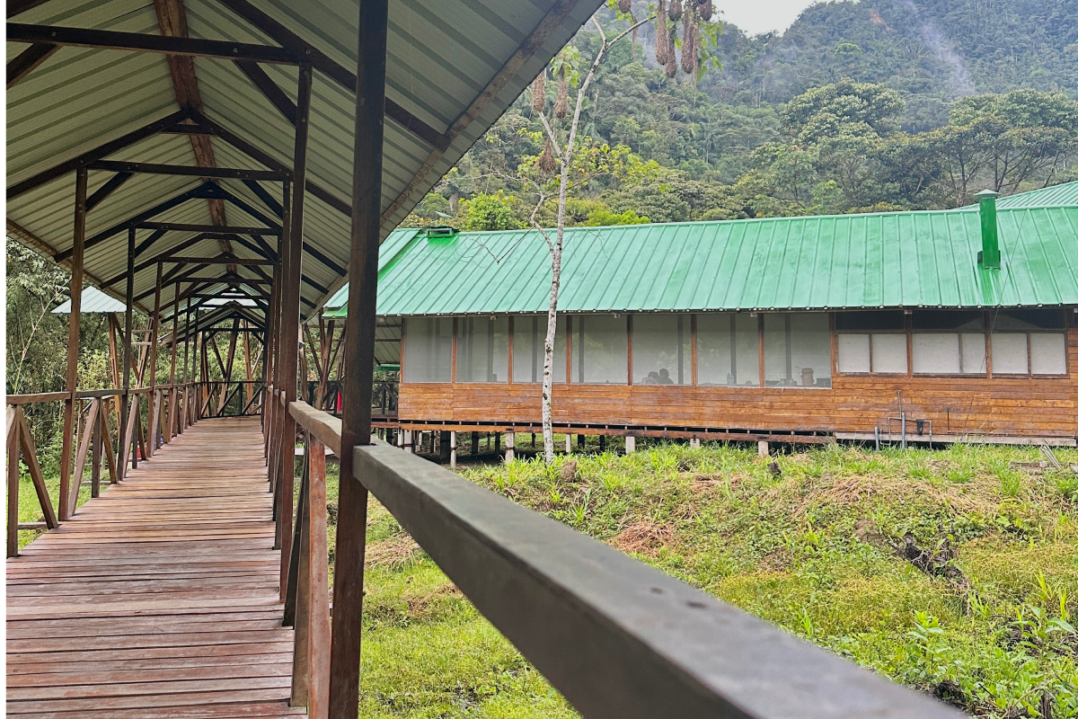 Bridge and common area
