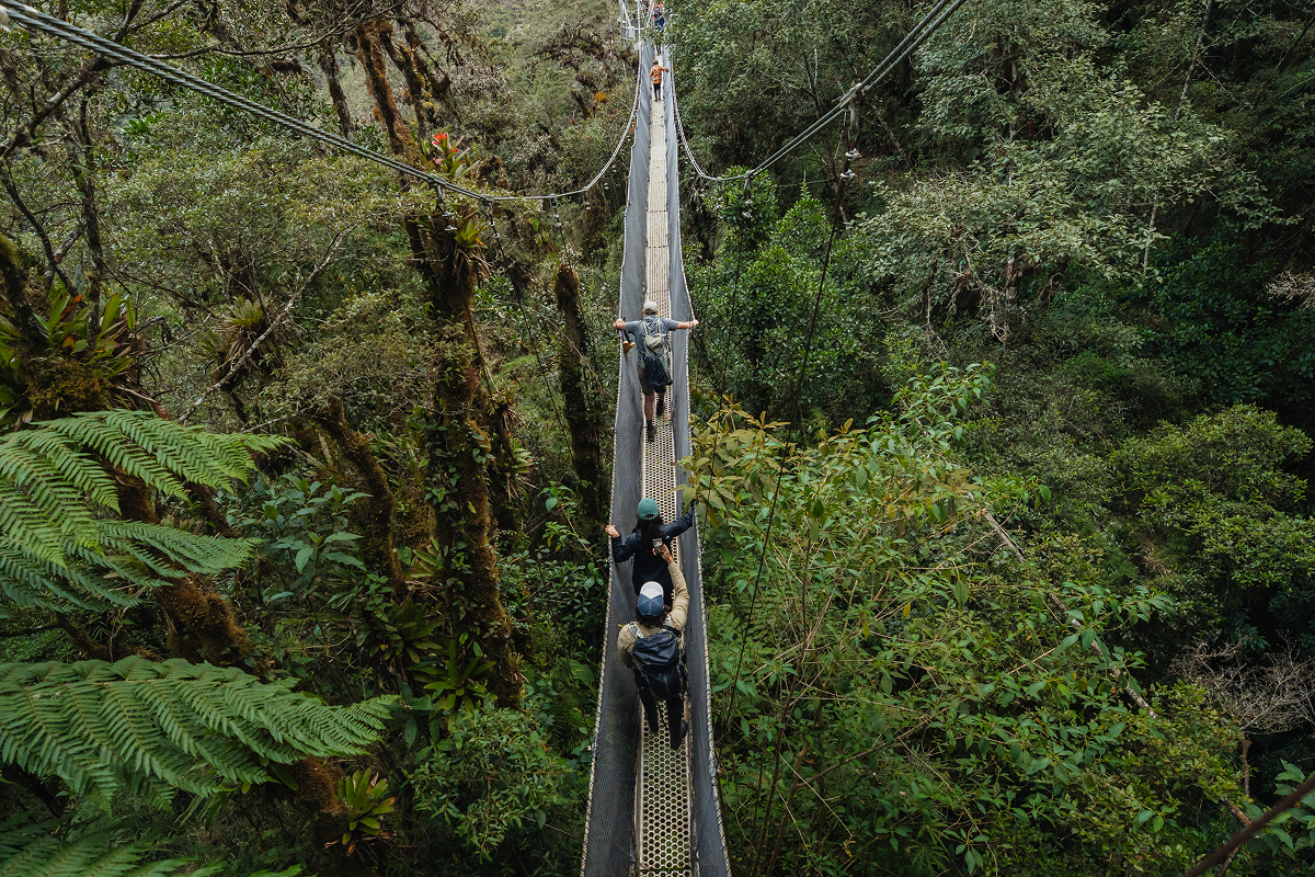 Canopy Walkway