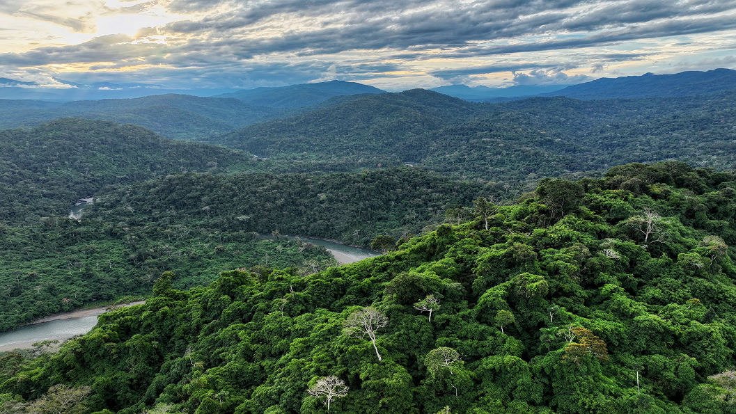 Andes to Amazon - Ecotone territories
