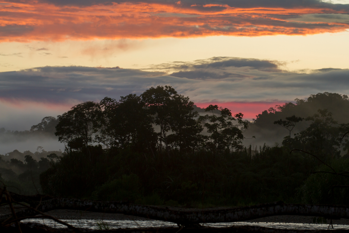 Sun set at MLC