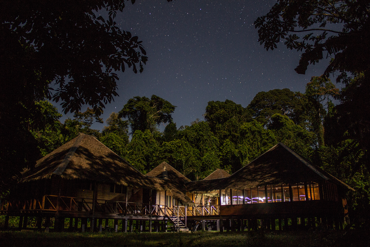 The quiet night