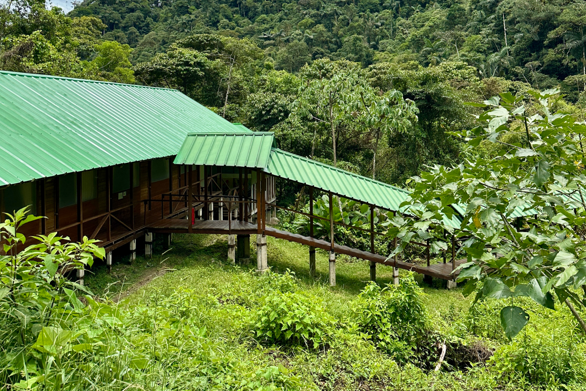 Bridge and private rooms