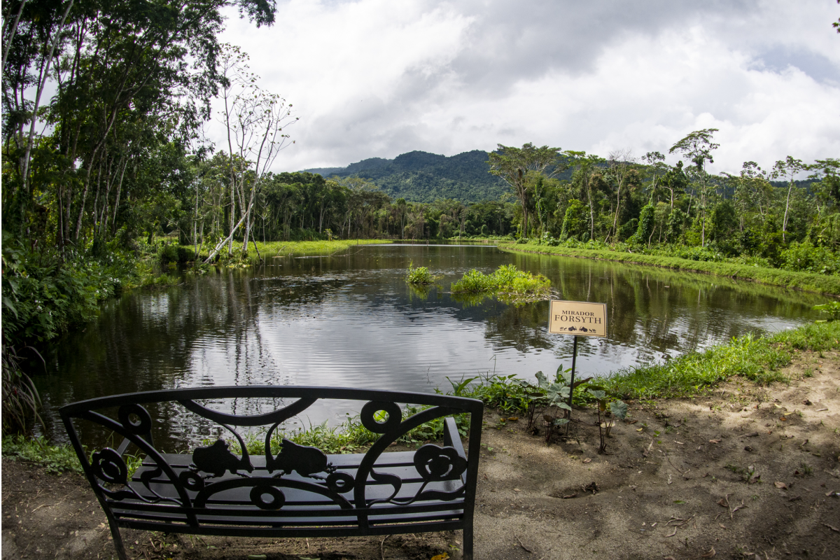 View of nature