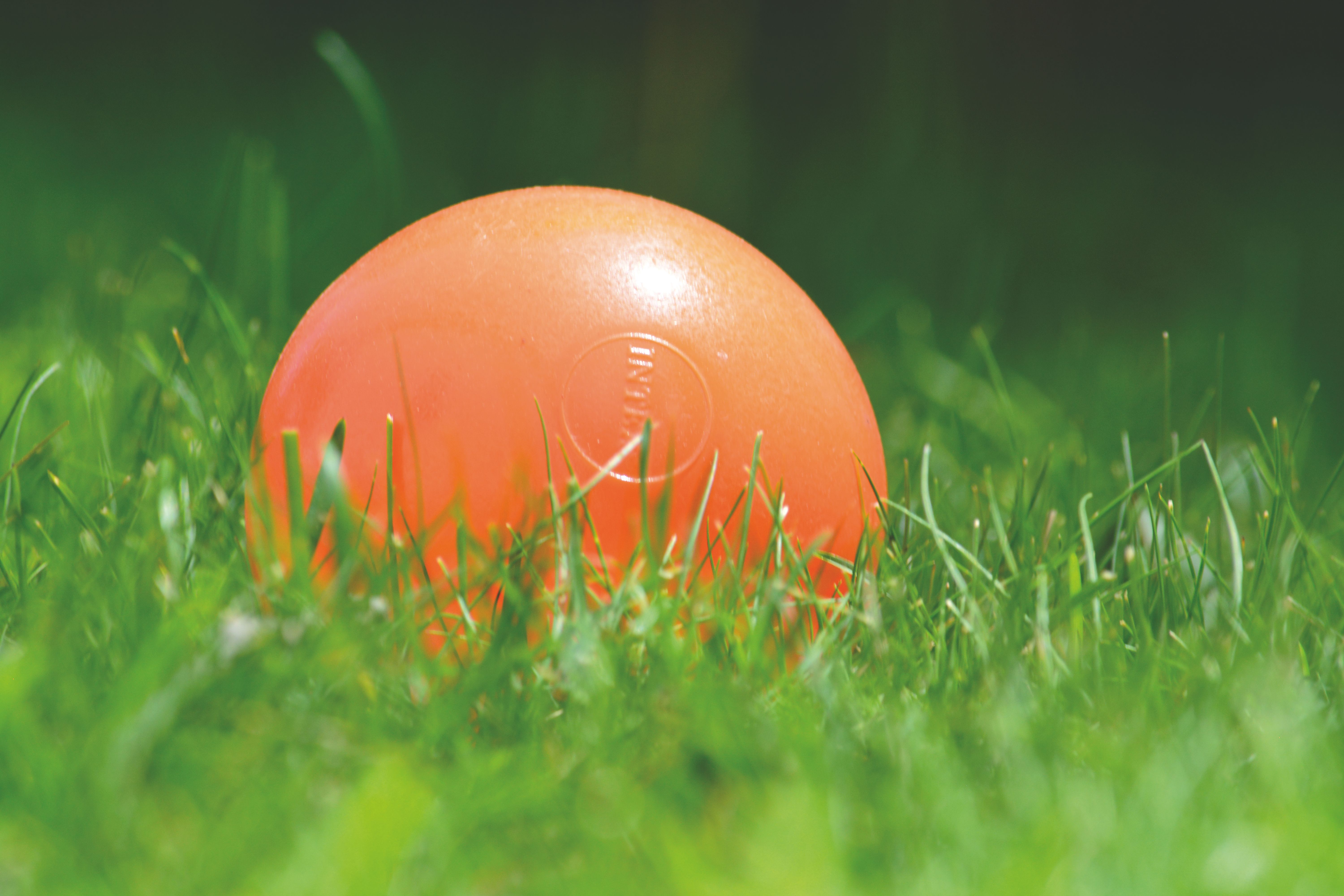 Orange ball resting low in green grass, sunlit with dark blurred background