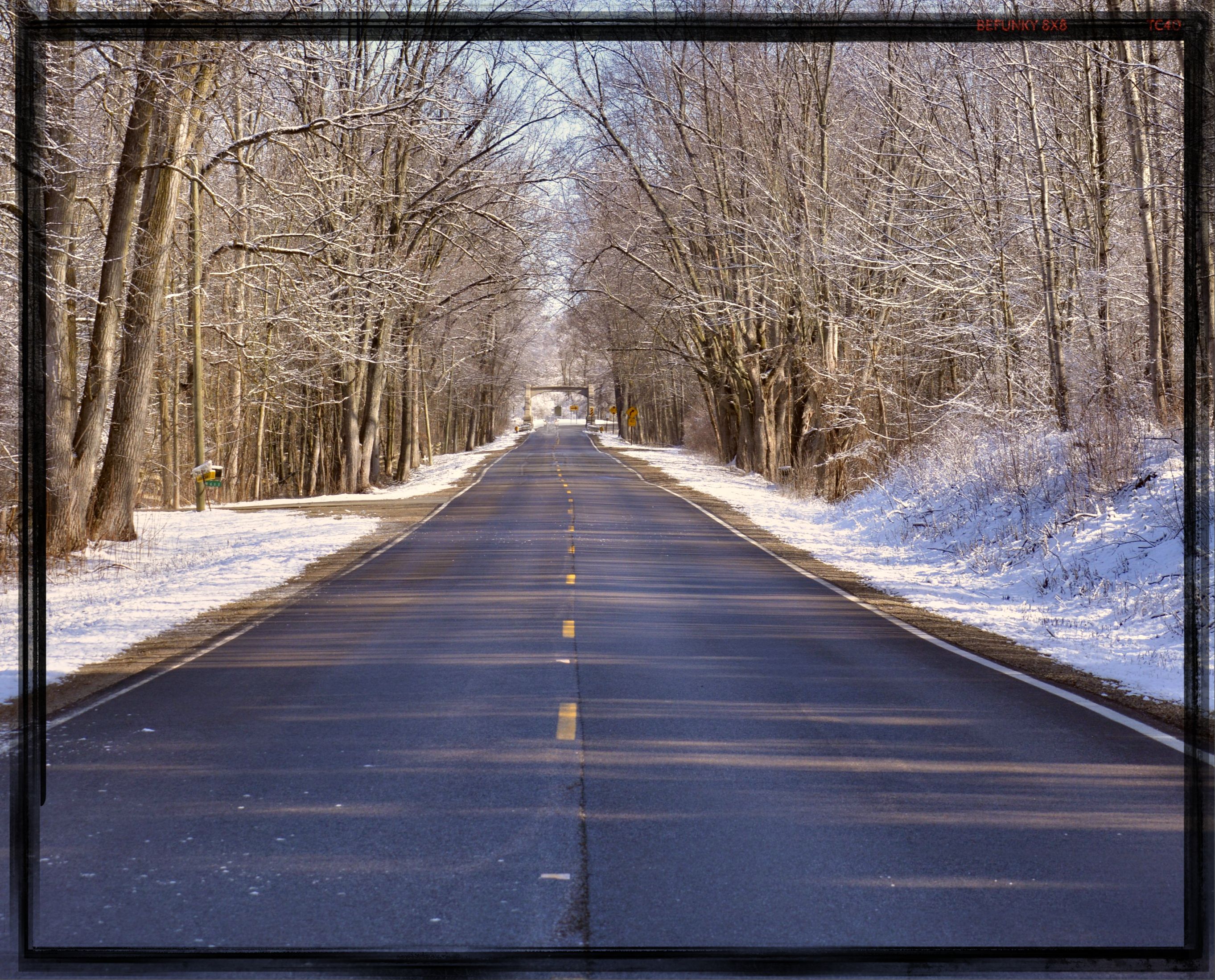 A snow-lined paved road tunnels beneath bare, frosted trees toward a distant overpass